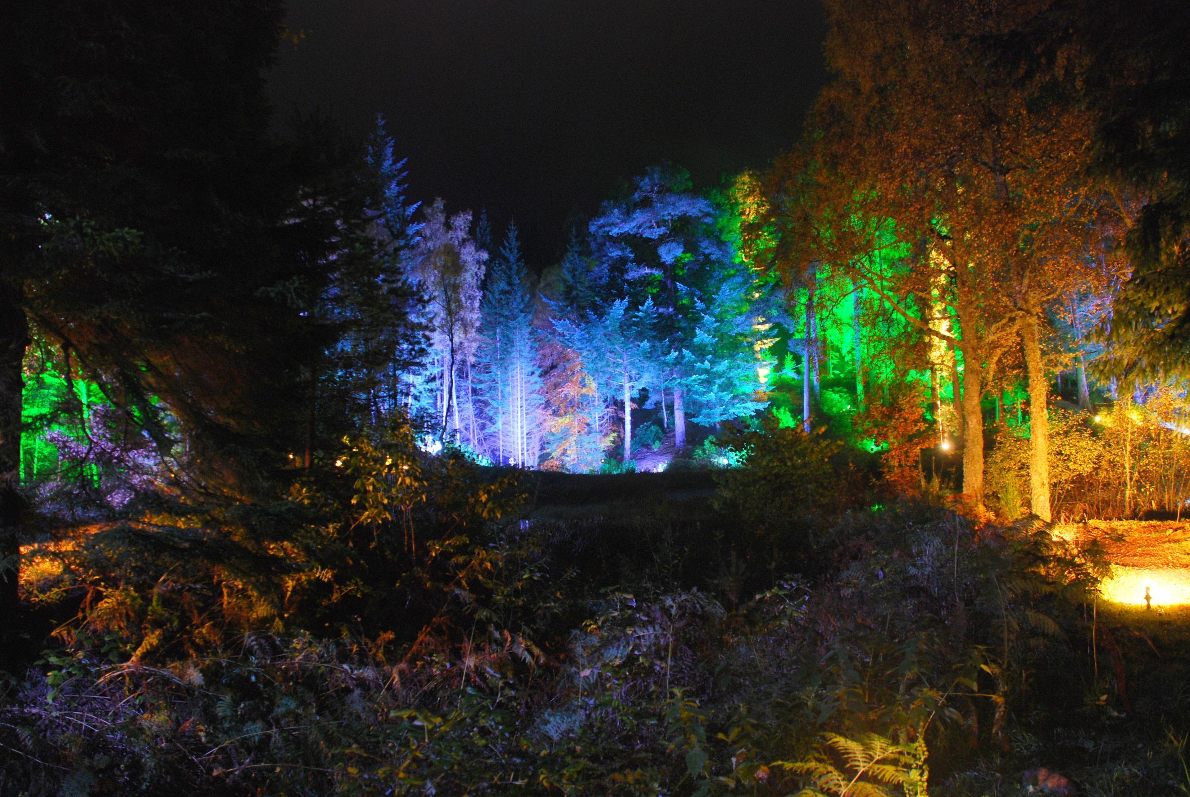 2400x1607 light painting, forests, night wallpaper