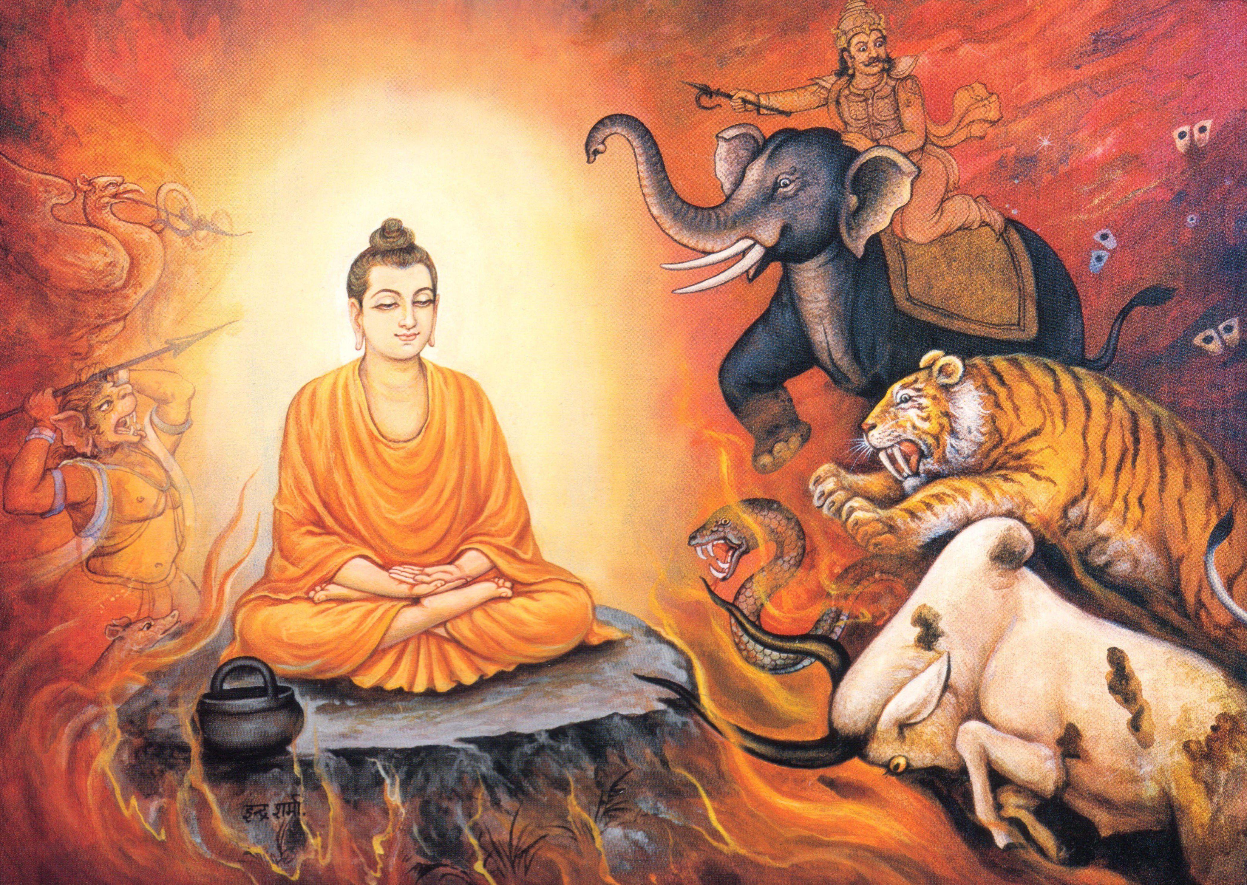 4181x2968 Buddha, Enlightenment HD Wallpaper / Desktop and Mobile Image