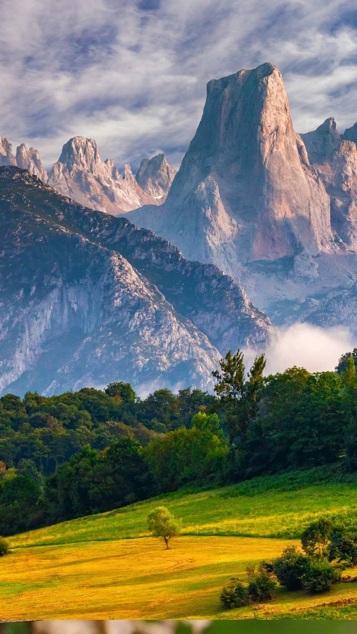 736x1307 Bing Daily Desktop
