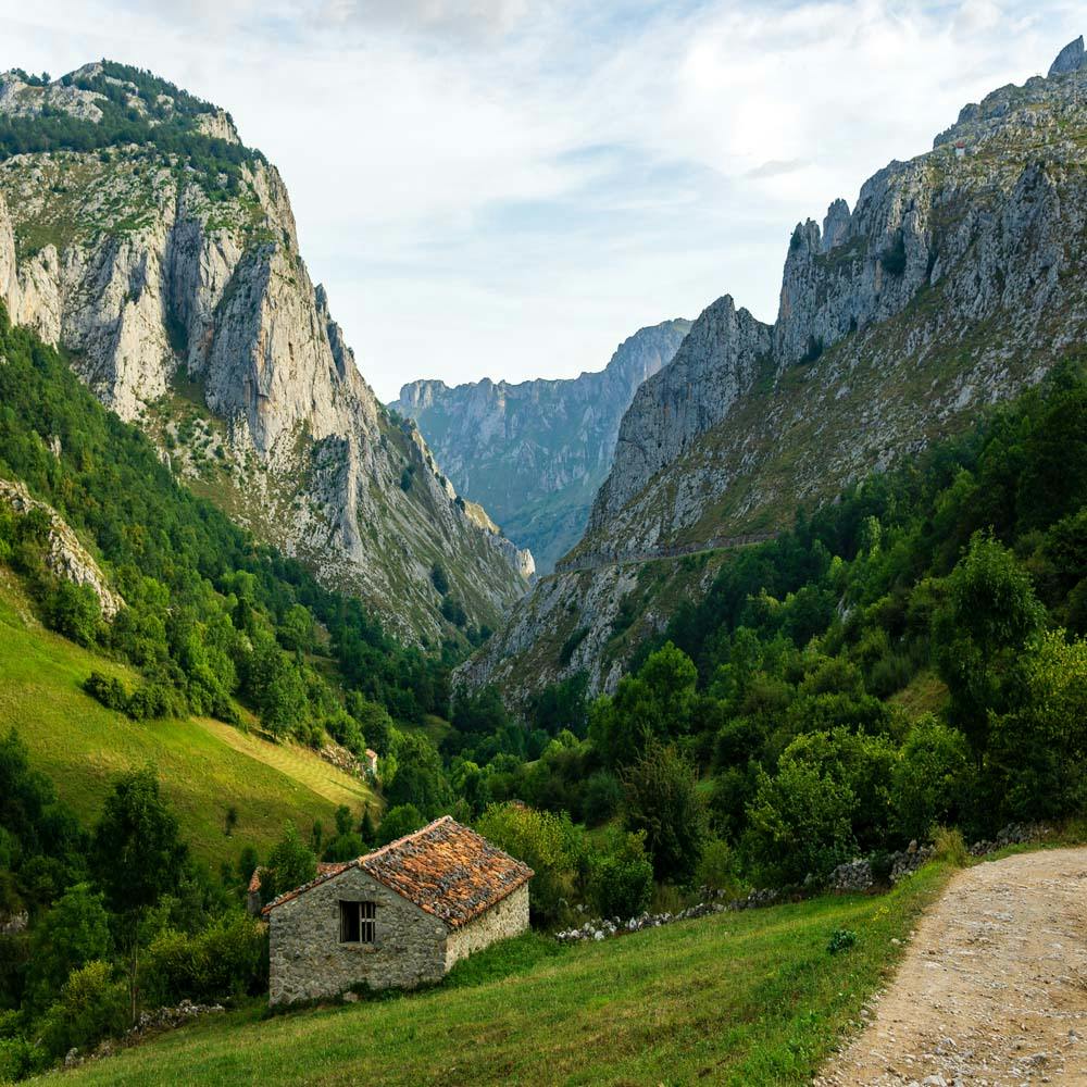 1000x1000 Picos De Europa National Park Trails, Maps, Sights, Information and Wildlife