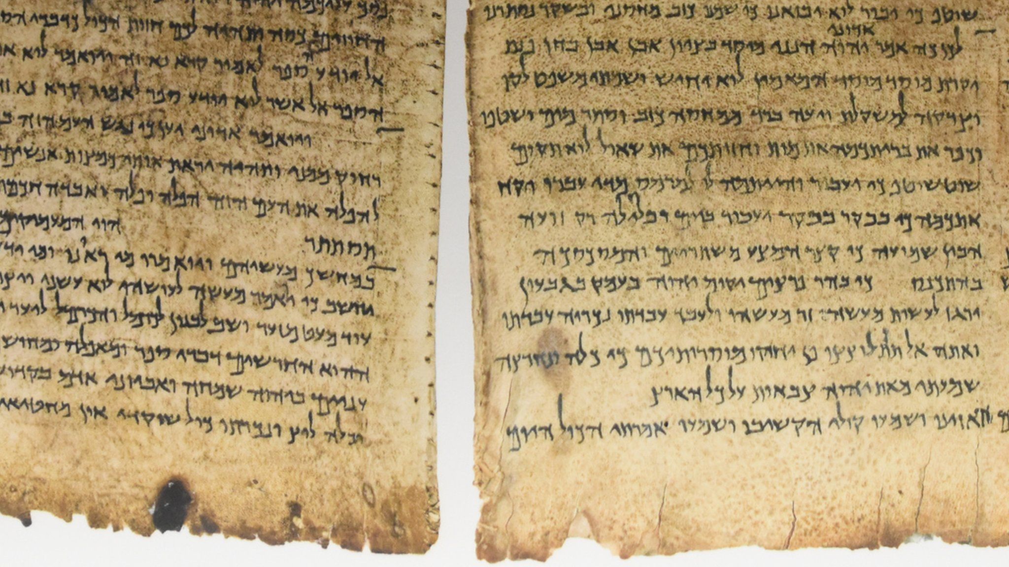 2048x1152 AI unlocks ancient Dead Sea Scrolls mystery
