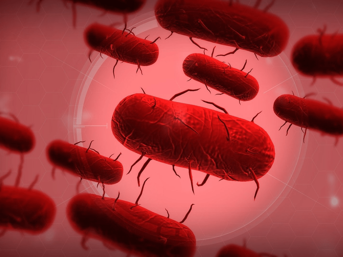 1200x900 Plague Inc. sees 50 per cent download spike due to Ebola fears