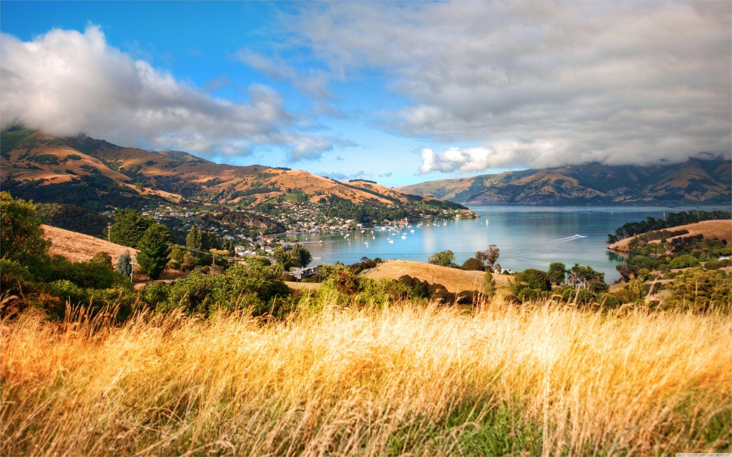 2560x1600 New Zealand 4k Wallpaper. Summer landscape, Landscape