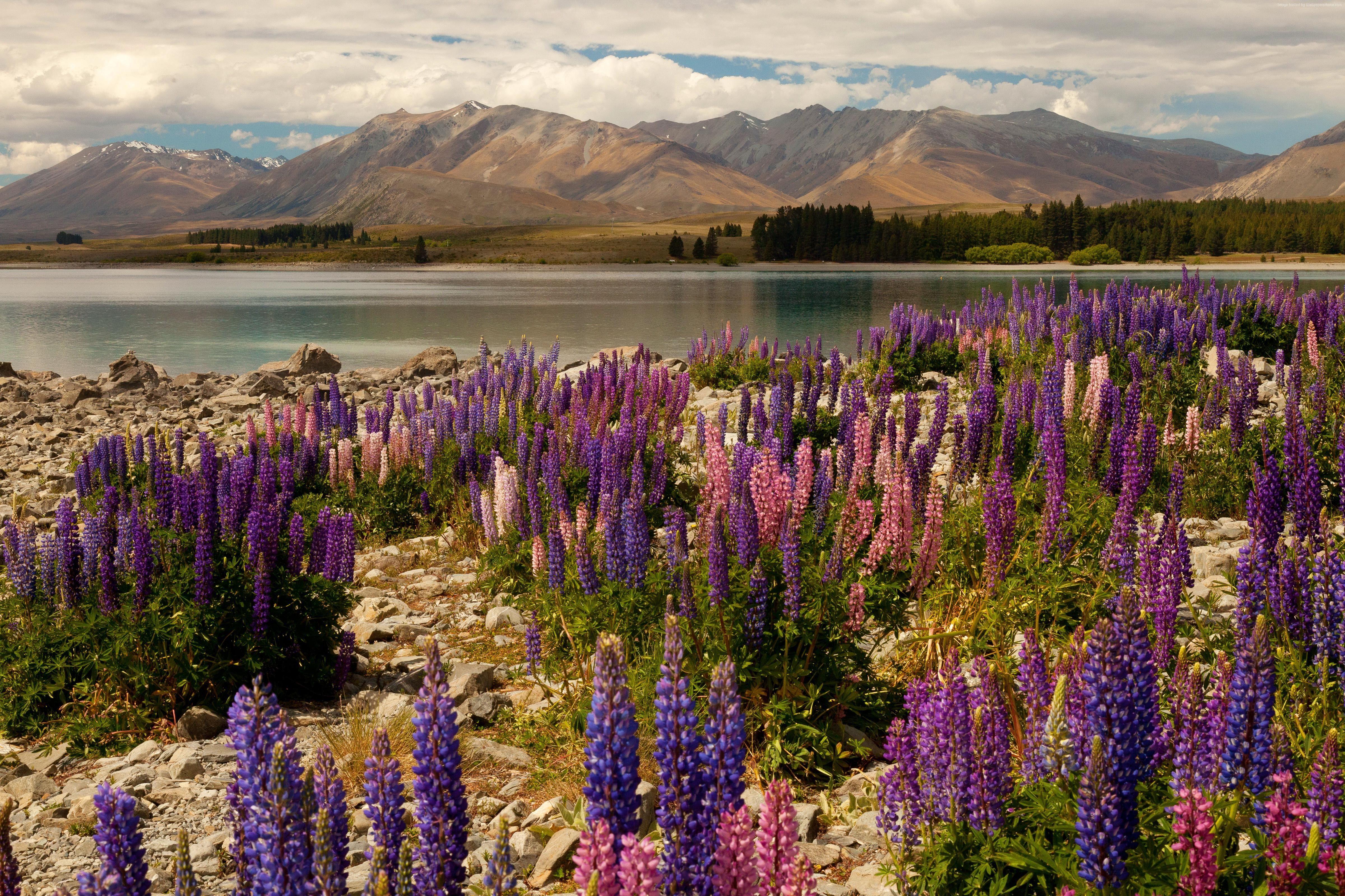 4800x3200 #sky, #lavander, #rest, #clouds, k, #mountains, k