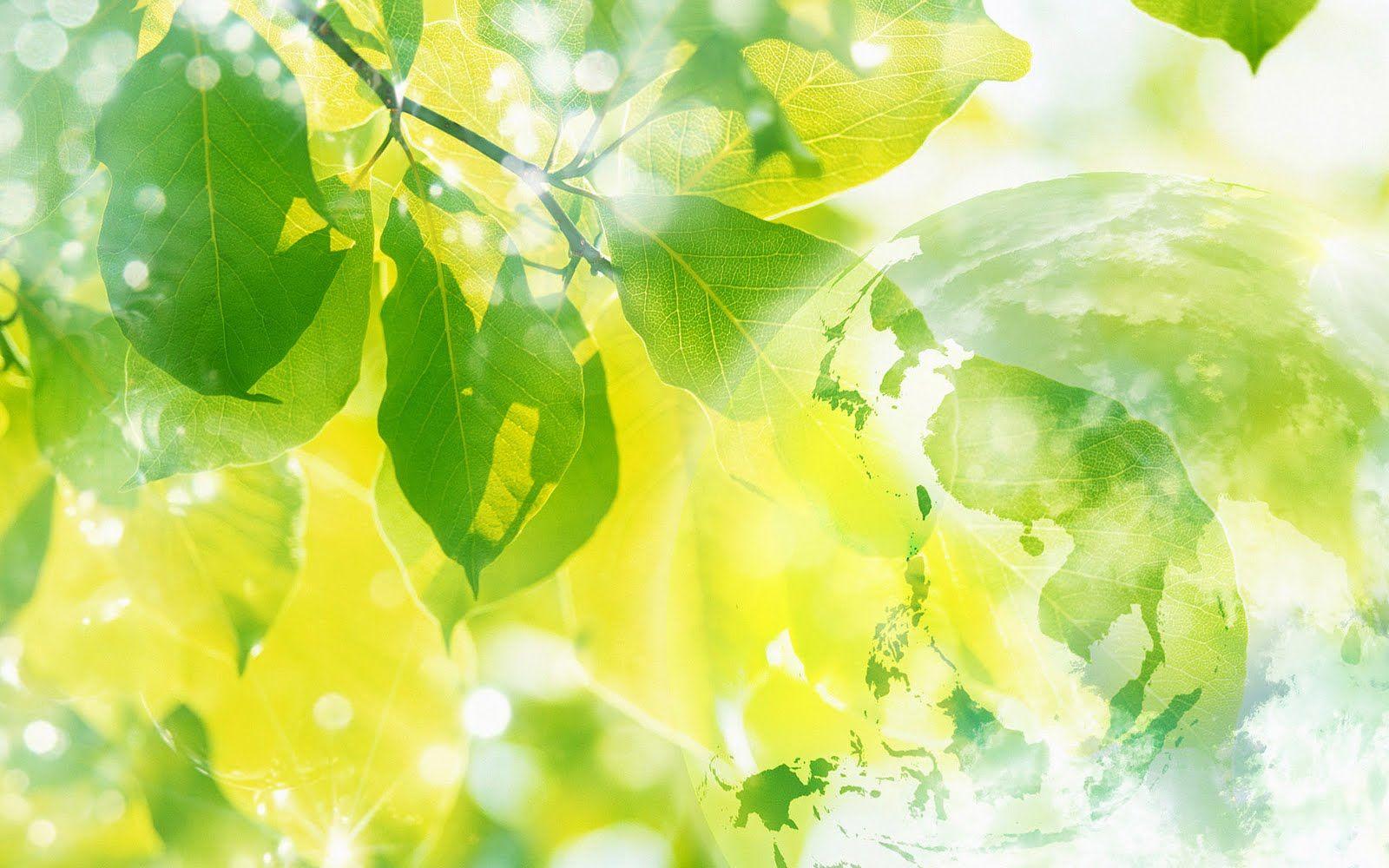 ayurveda-wallpapers-top-free-ayurveda-backgrounds-wallpaperaccess