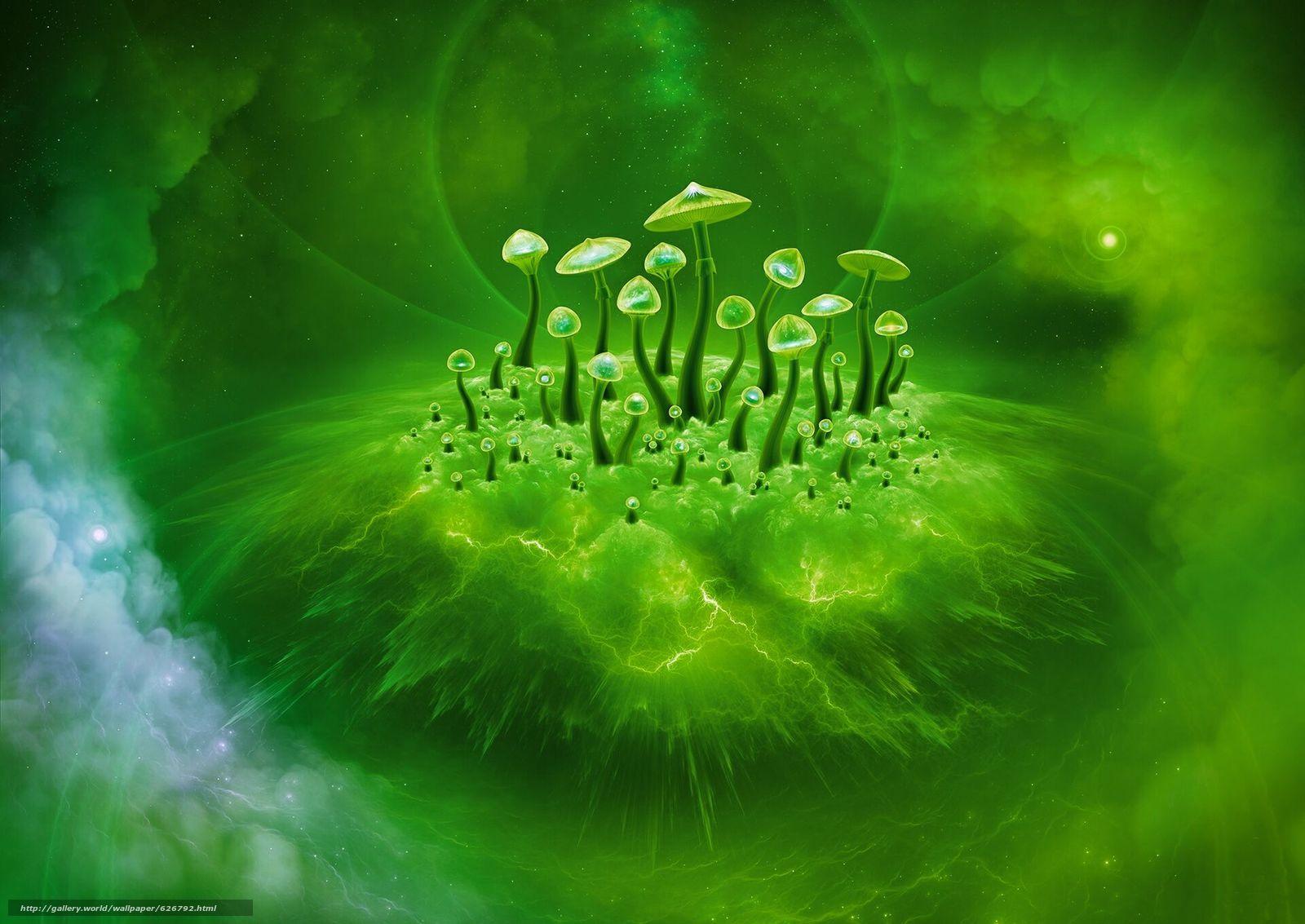1600x1133 Conscious Wallpaper. Conscious Wallpaper