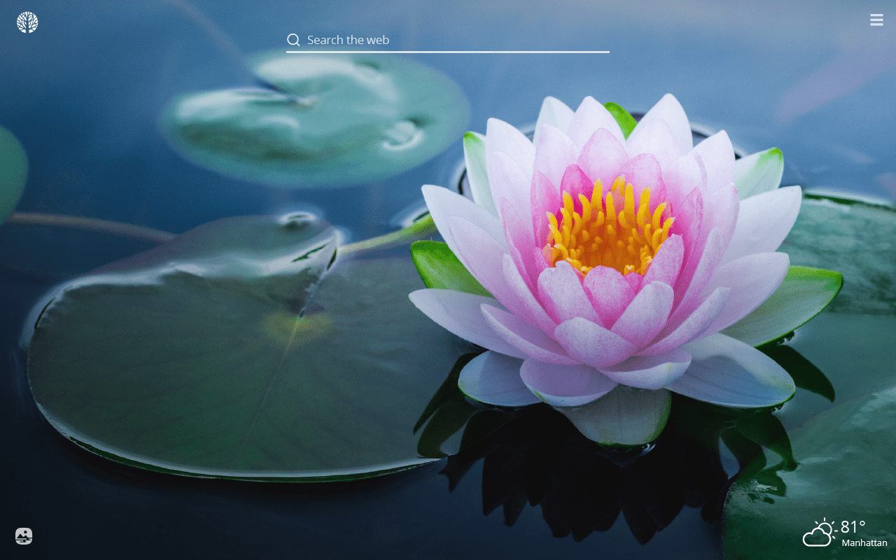1280x800 Lotus Flower HD Wallpaper New Tab