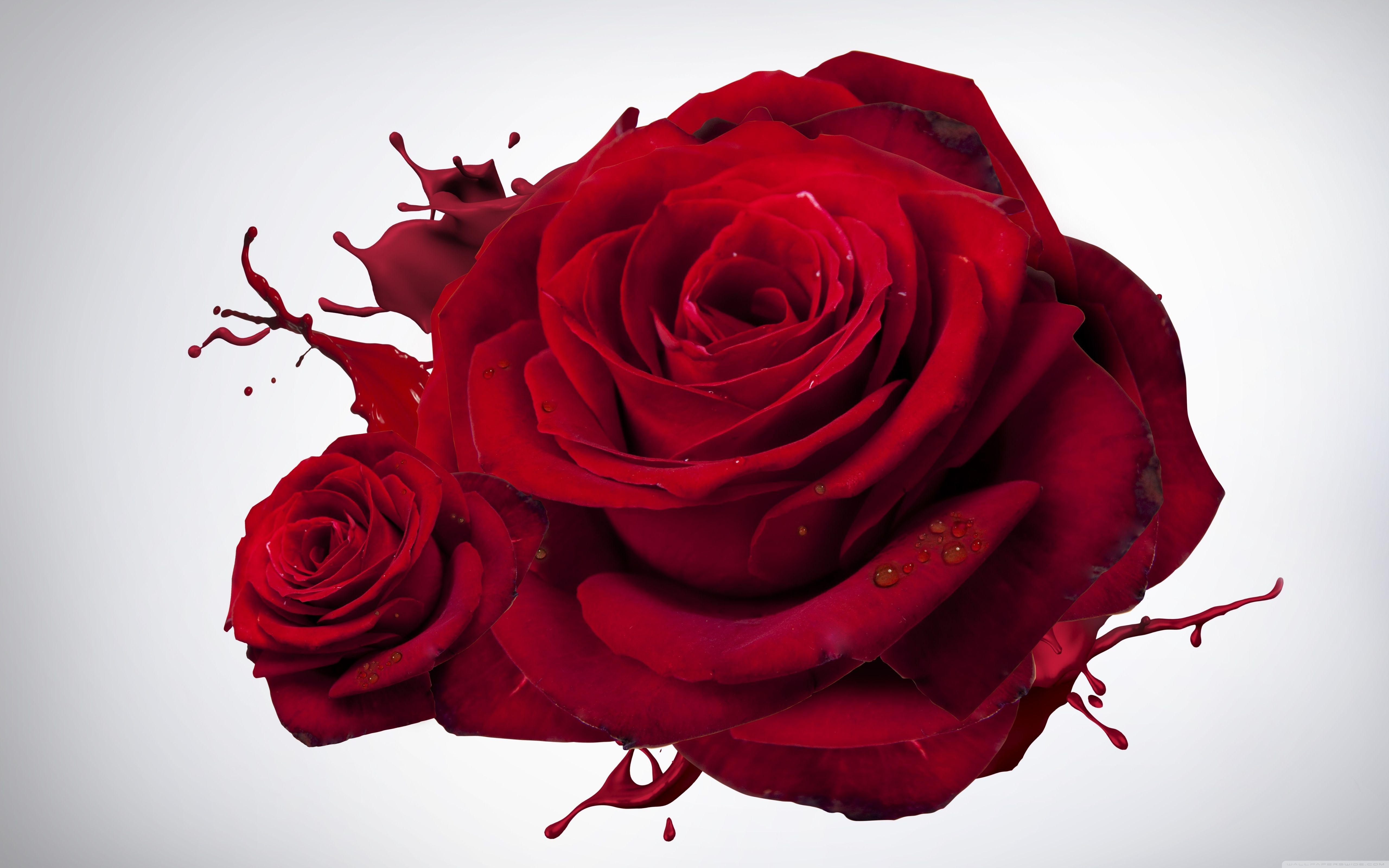 5120x3200 Red and white