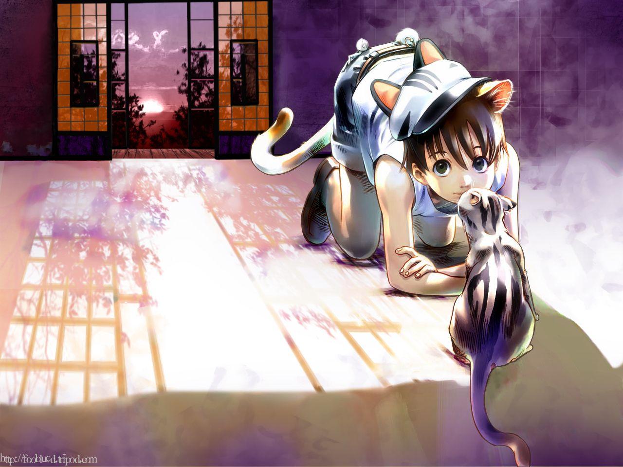 1280x960 Creatures Wallpaper: Neko Boy