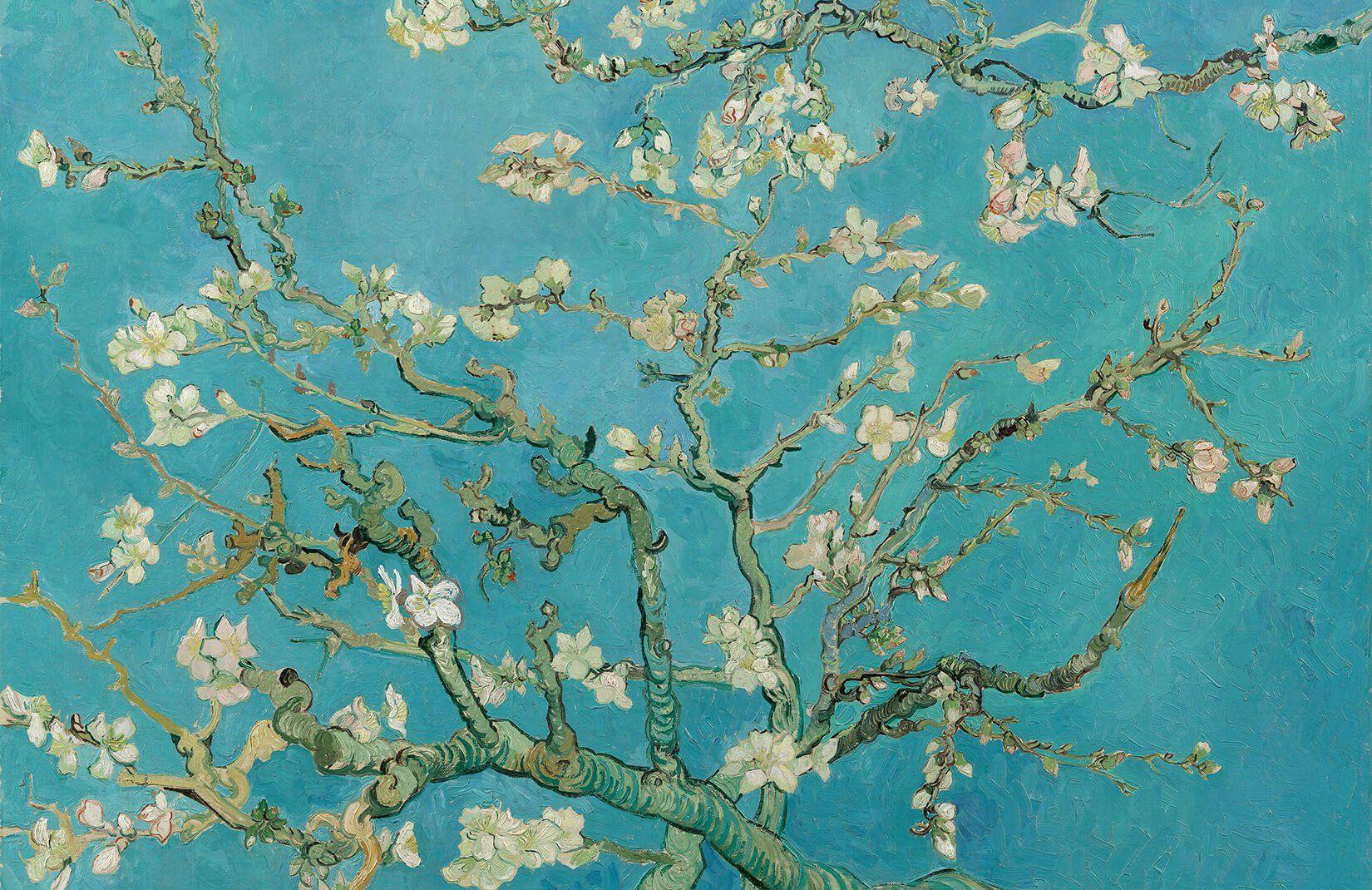 Van Gogh Almond Blossoms Wallpapers - Top Free Van Gogh Almond Blossoms  Backgrounds - WallpaperAccess