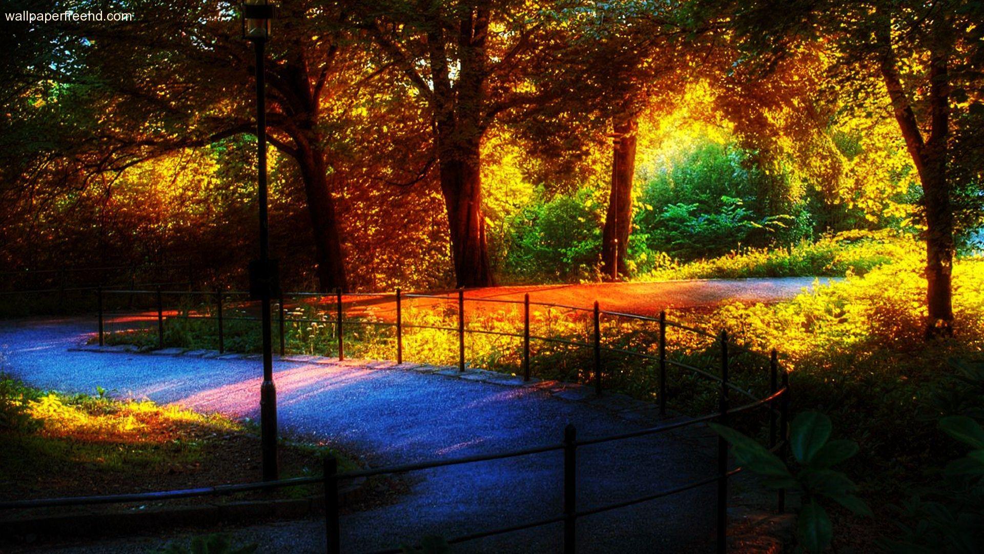 1920x1080 Amazing Nature Wallpaper Rainbow In The Park 1080p