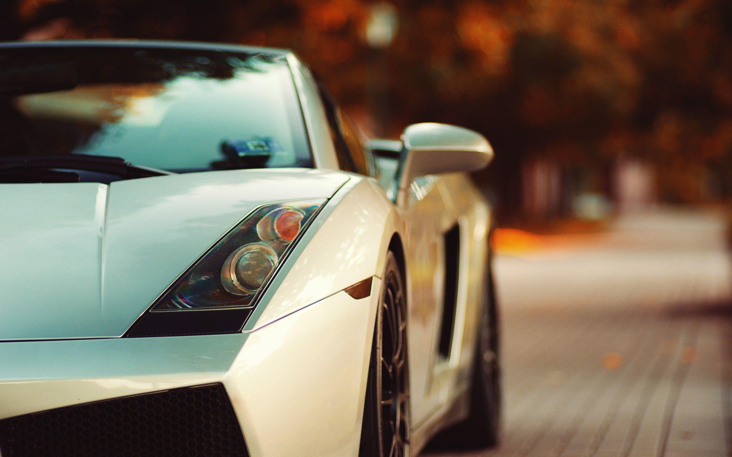 2560x1600 Lamborghini Car Wallpaper HD 45123 2560x1600px