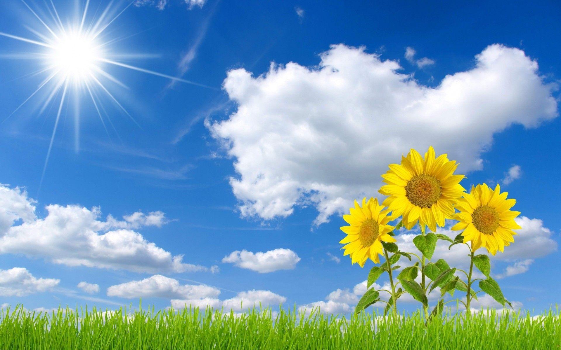 1920x1200 Beautiful Sky Wallpaper
