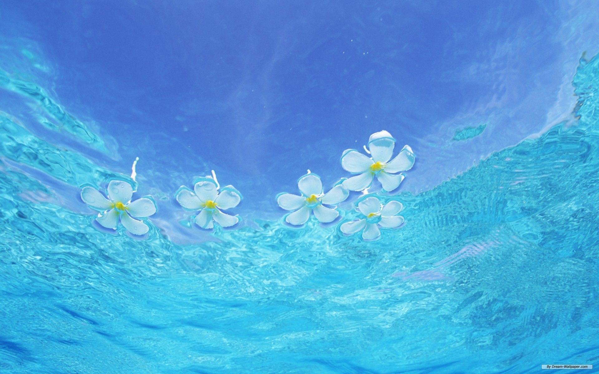 1920x1200 Free Wallpaper Nature wallpaper Water And Blue Sky