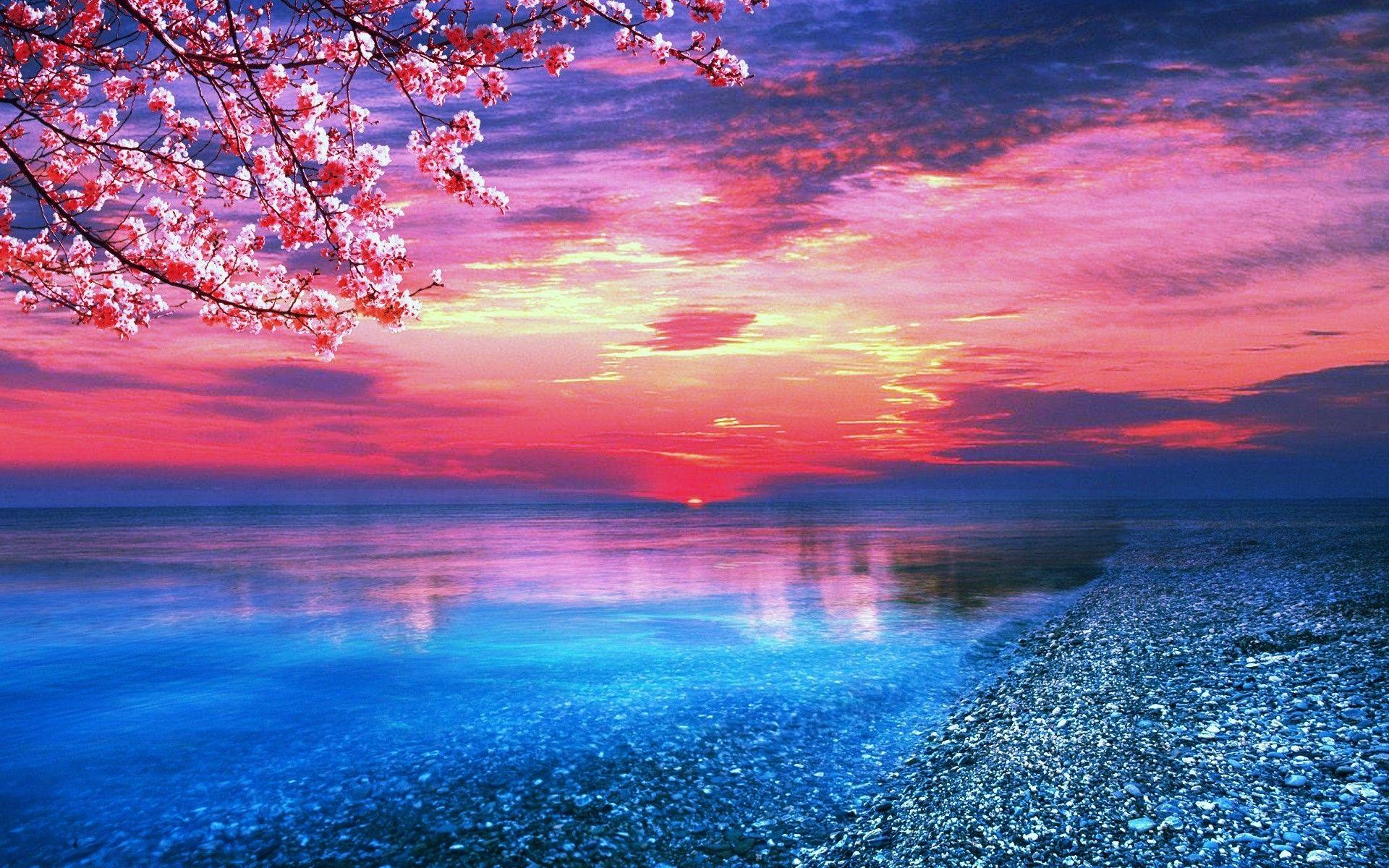 Pink Ocean Wallpapers - Top Free Pink Ocean Backgrounds - WallpaperAccess