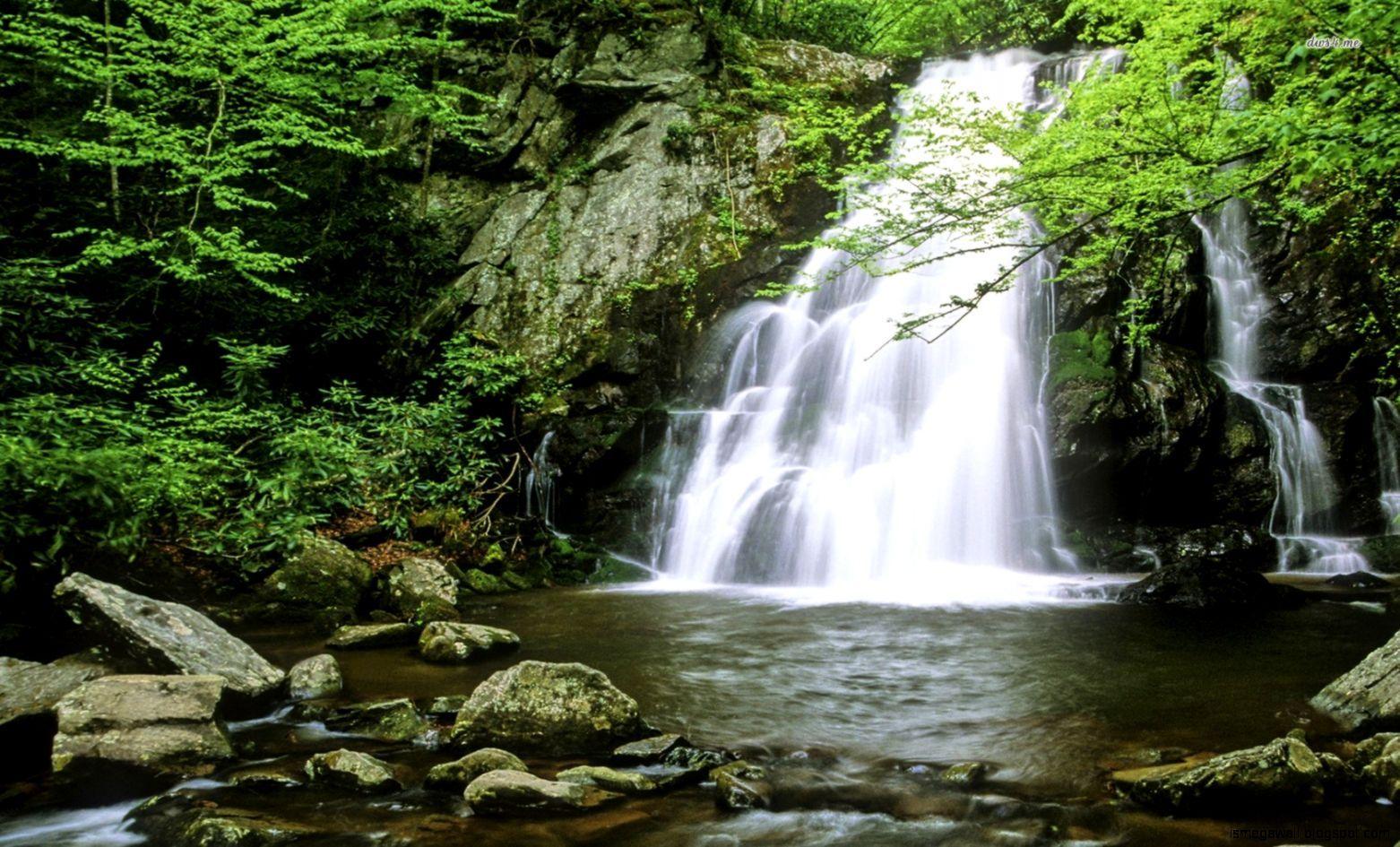 1562x945 Nature Waterfall Forest Wallpaper