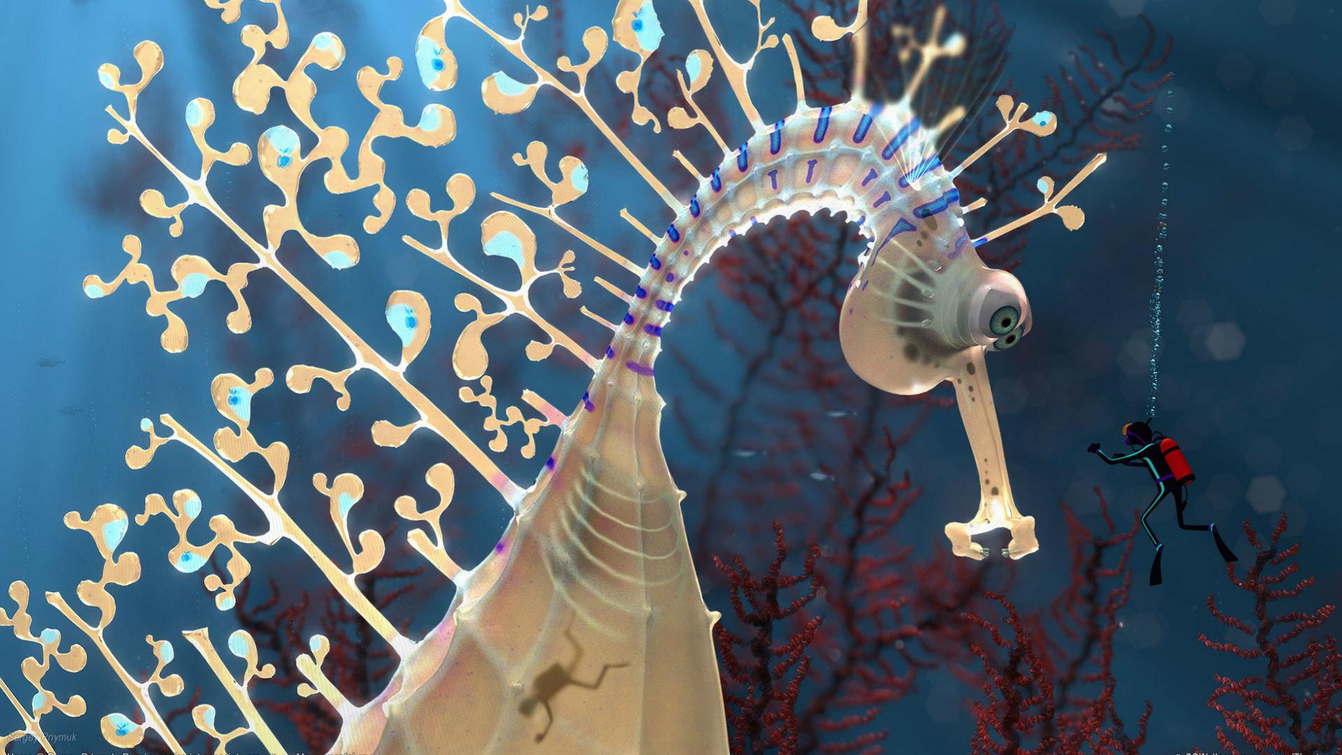 1920x1080 Seahorse wallpaper 1920x1080 Full HD (1080p) desktop background