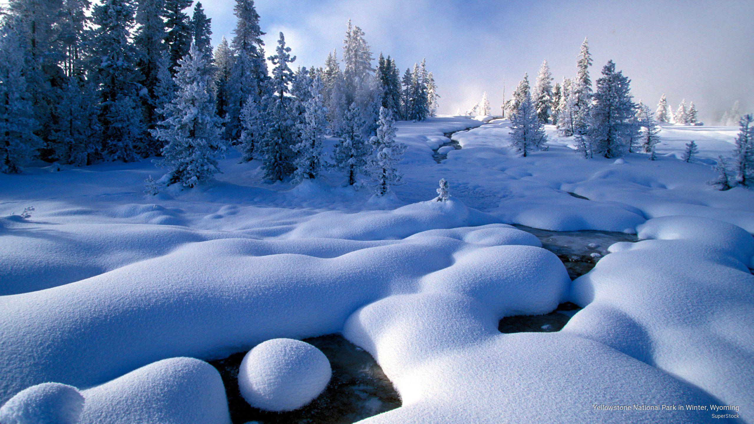 Yellowstone Winter Wallpapers Top Free Yellowstone Winter Backgrounds Wallpaperaccess