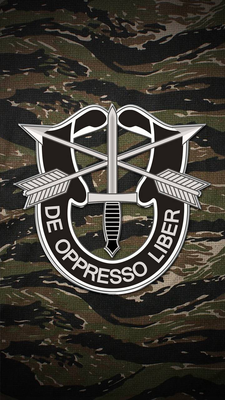 Green Beret Wallpapers - Top Free Green Beret Backgrounds - WallpaperAccess