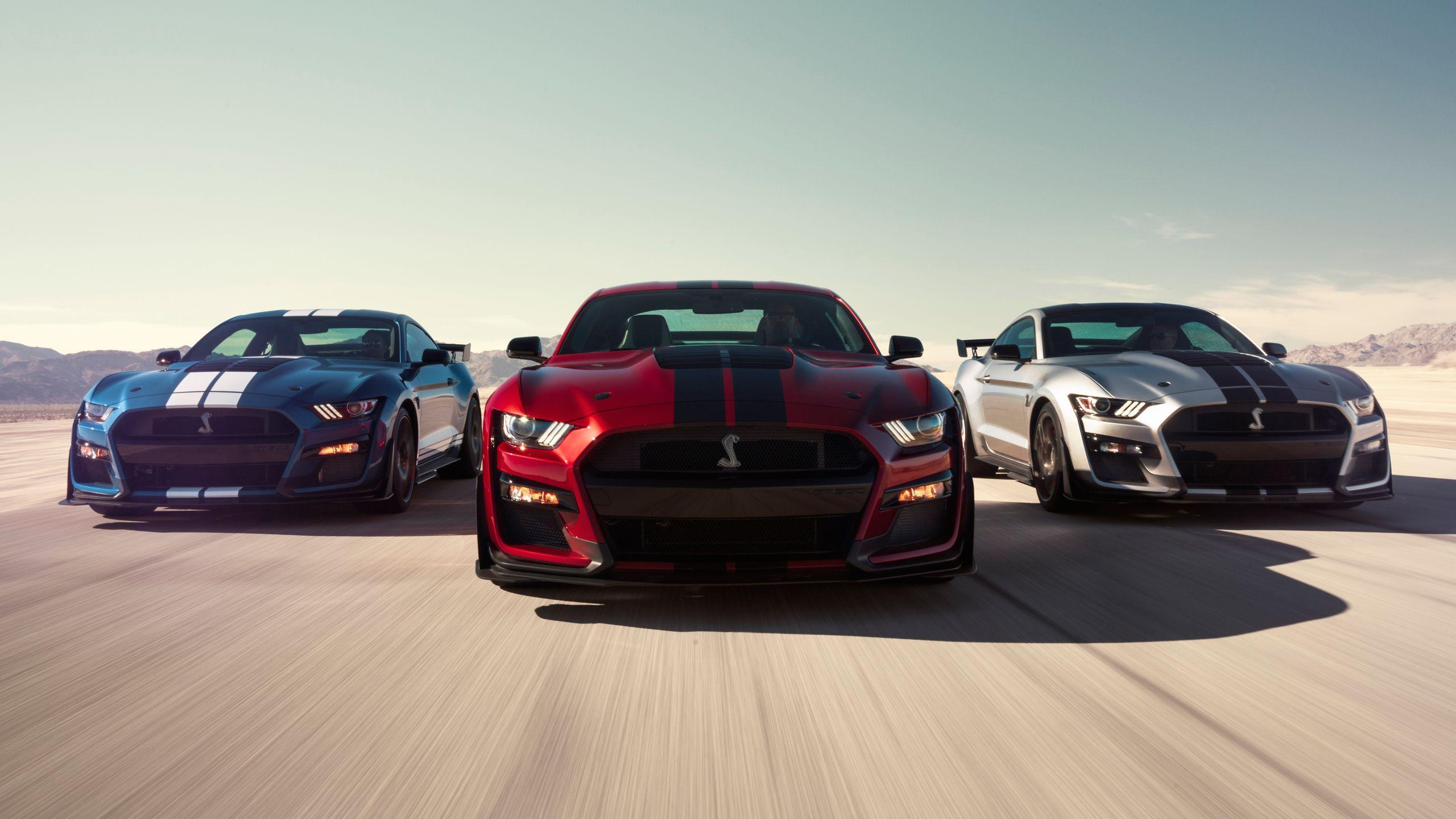 2560x1440 Ford Mustang Shelby GT500 8k 1440P Resolution HD 4k