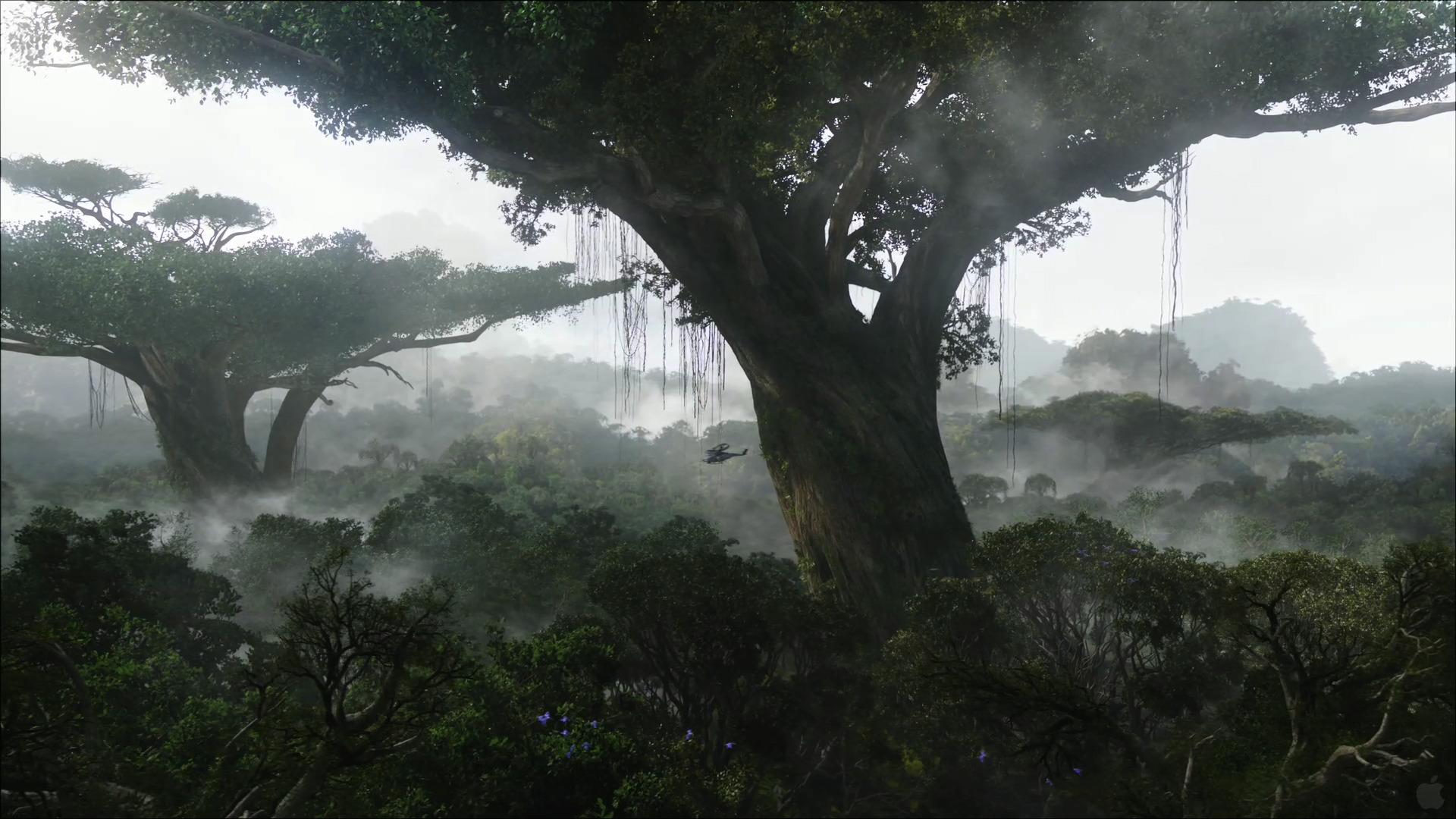 1920x1080 Rainforest Desktop Wallpaper