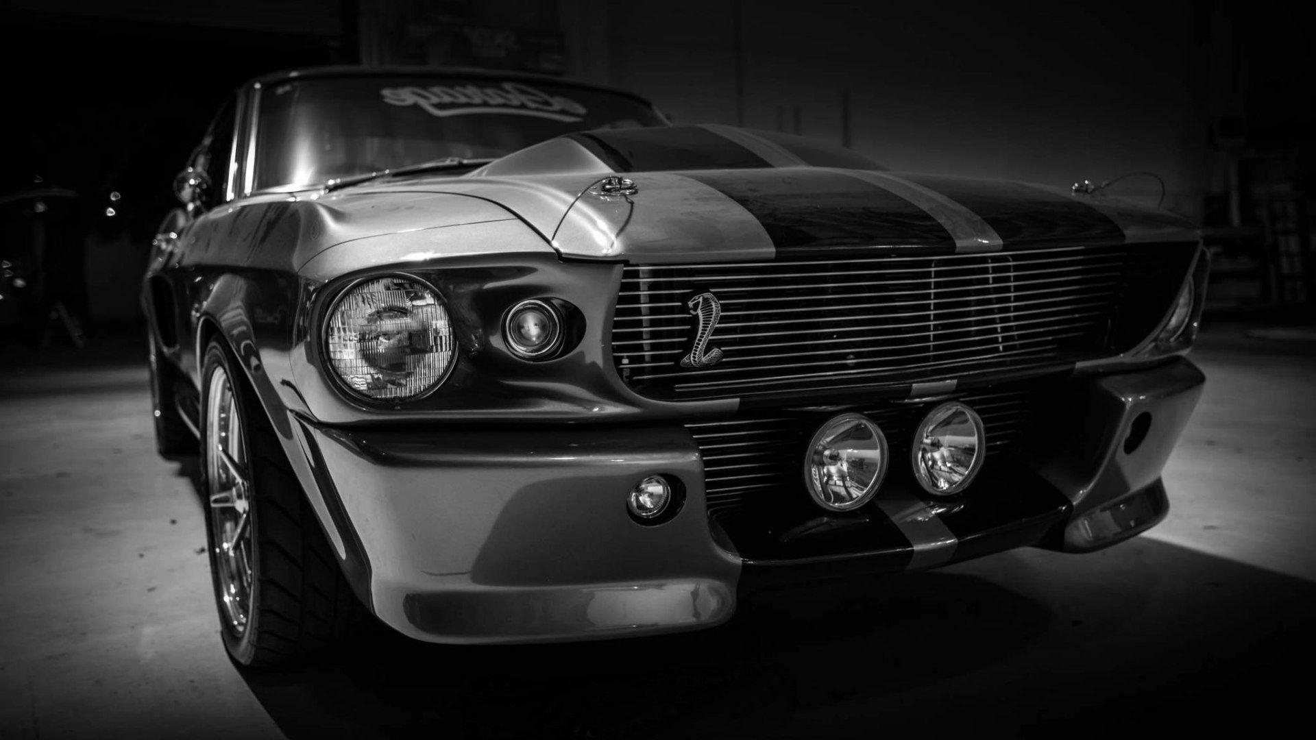1920x1080 Shelby GT HD Cars, 4k Wallpaper, Image, Background, Photo and Picture