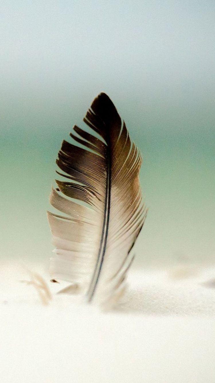 Feather Iphone Wallpapers Top Free Feather Iphone Backgrounds Wallpaperaccess