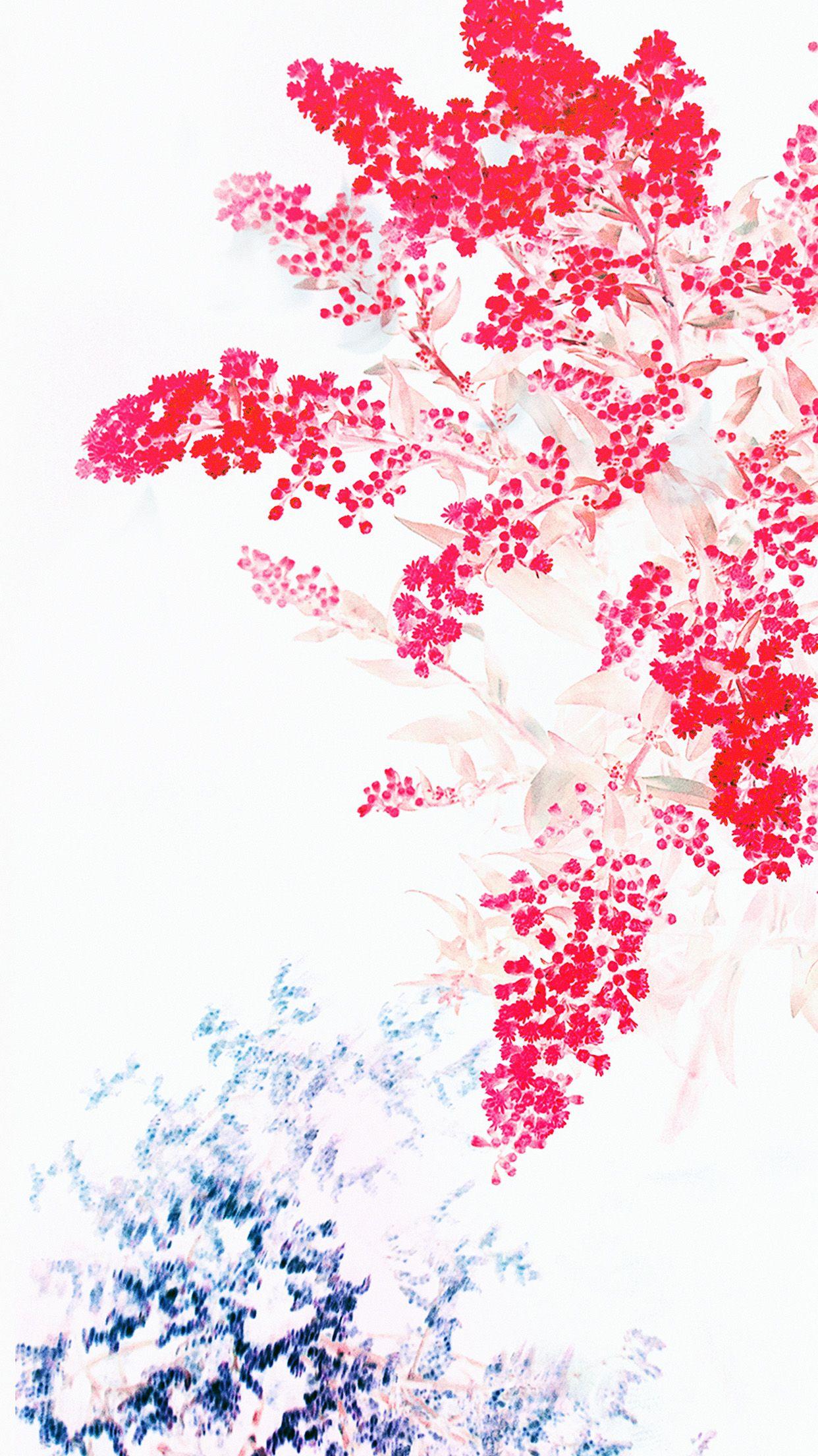 1242x2208 Apple Red White Flower Ios9 Iphone6s Wallpaper