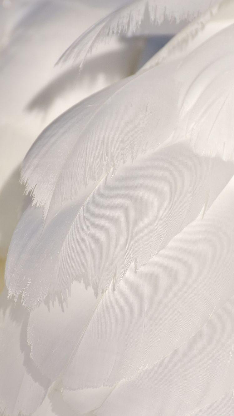 Feather iPhone Wallpapers - Top Free Feather iPhone Backgrounds ...