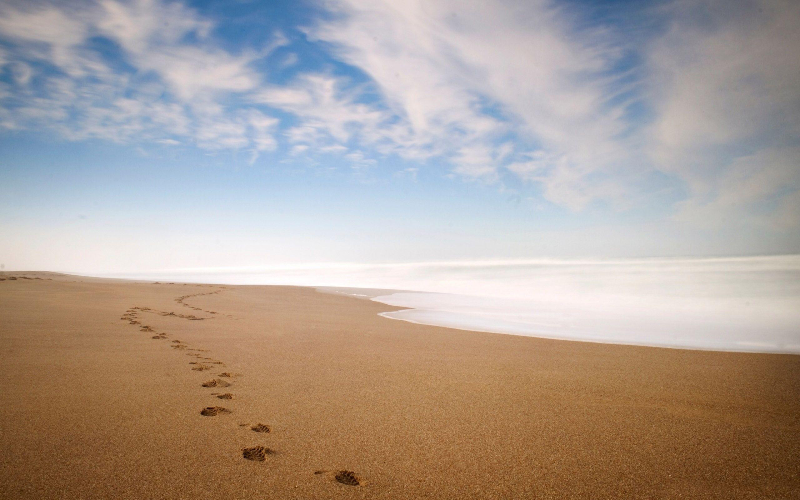2560x1600 Footprints In The Sand Wallpaper