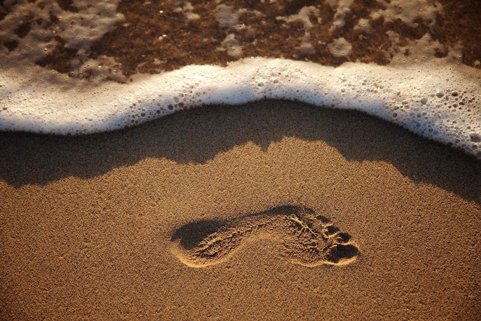 1600x1067 Footprint Wallpaper In The Sand