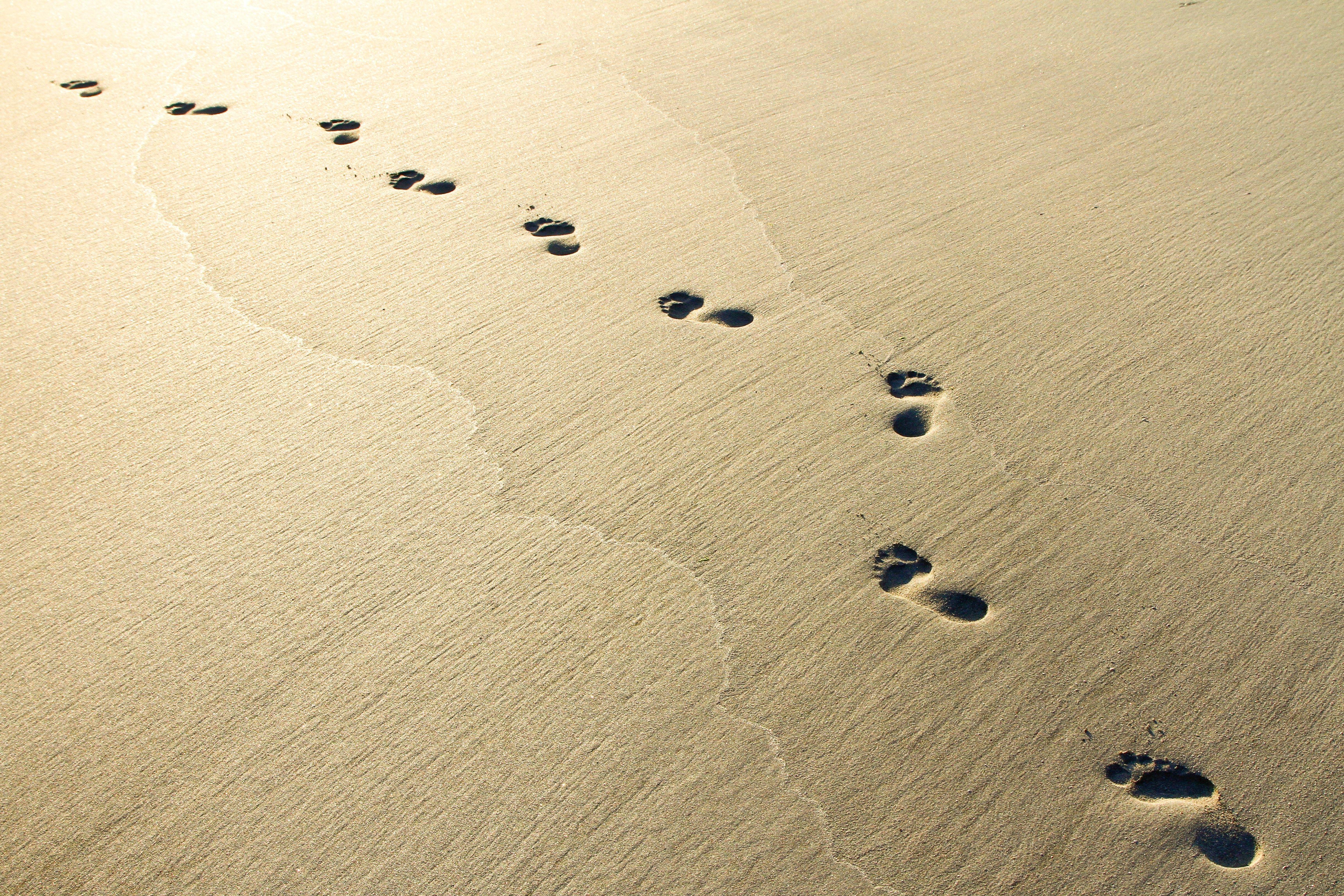4876x3251 sand, beach, sunrise, footprints, sand, footprint free image