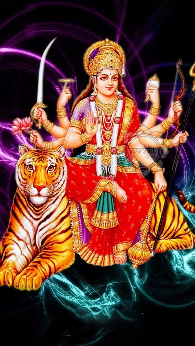 800x1421 Durga Devi Shera Wali, durga devi, shera wali, goddess, devi, HD phone wallpaper