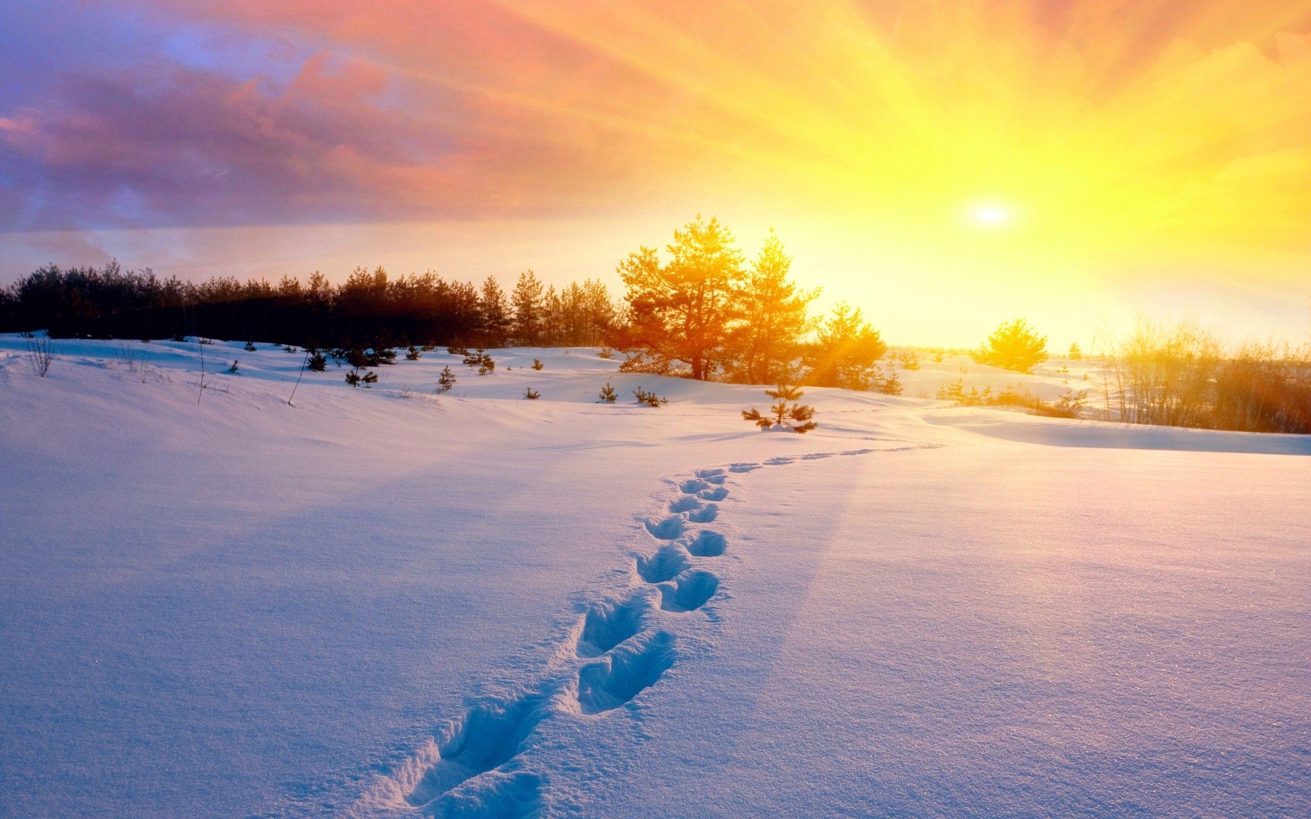 2560x1600 Winter Footprints Wallpaper 50183 2560x1600px