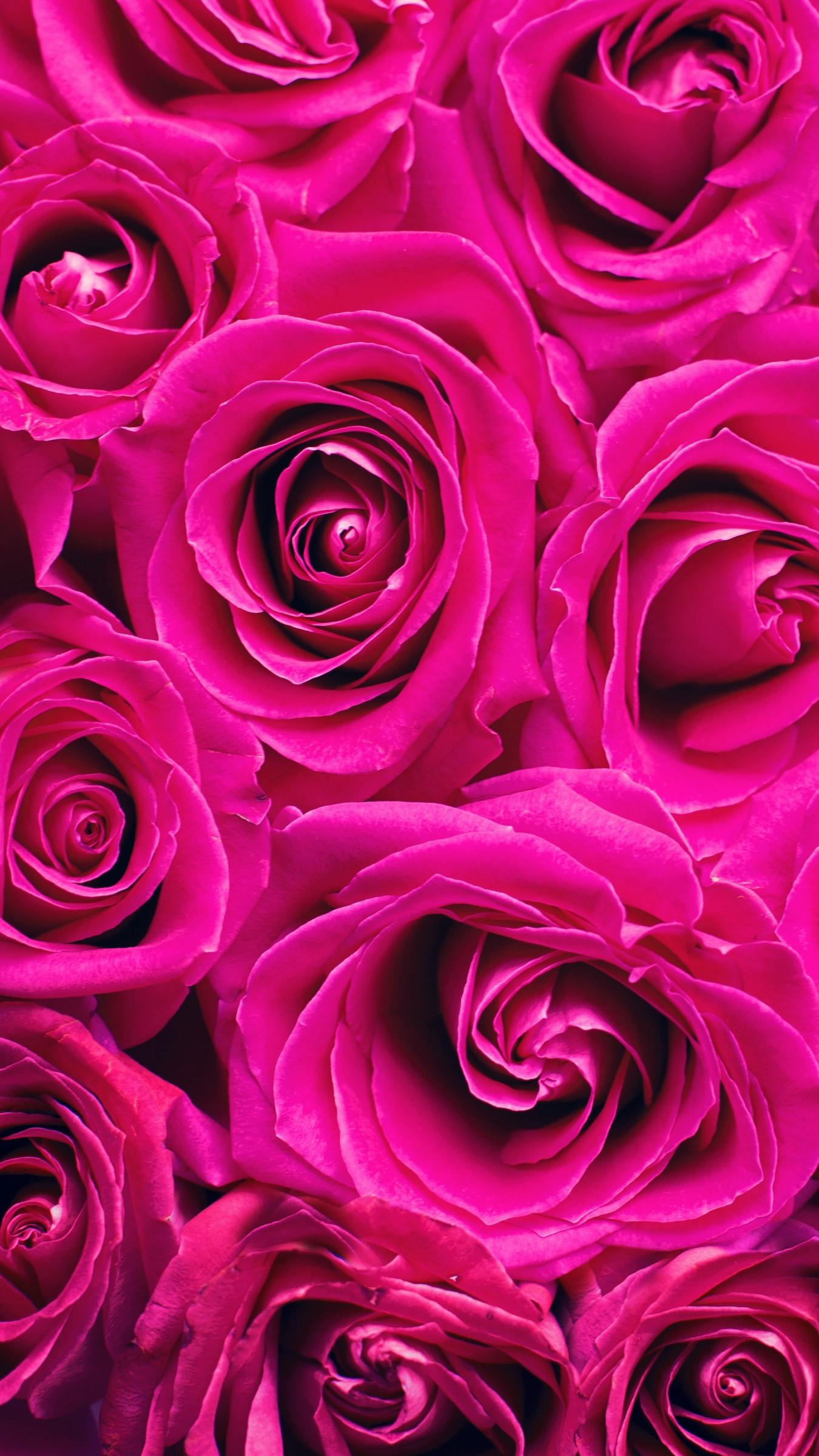 1350x2400 Wallpaper Roses, Pink, Flowers, Bouquet, Petals Pink