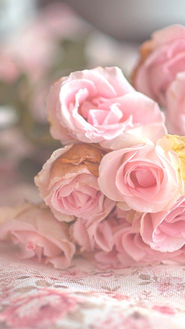 720x1280 background, beautiful, beauty, flora, flowers, inspiration, luxury