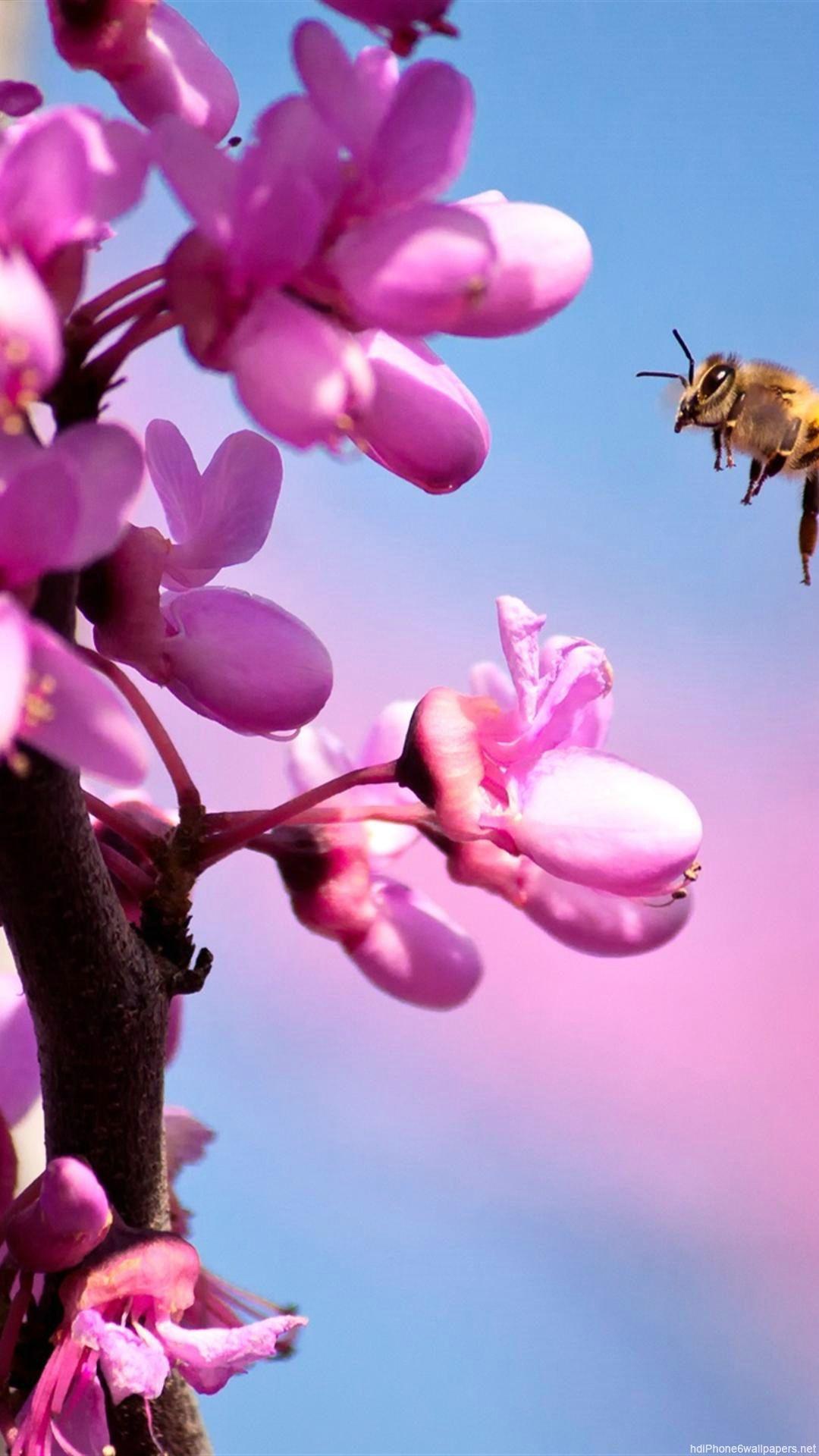 1080x1920 Pink Flower iPhone Wallpaper 3D iPhone Wallpaper