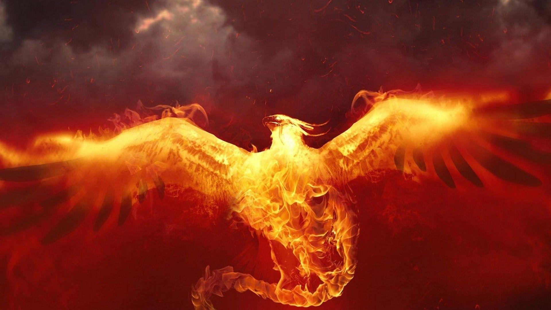 1920x1080 Best Phoenix Bird HD Wallpaper Desktop Phoenix Bird