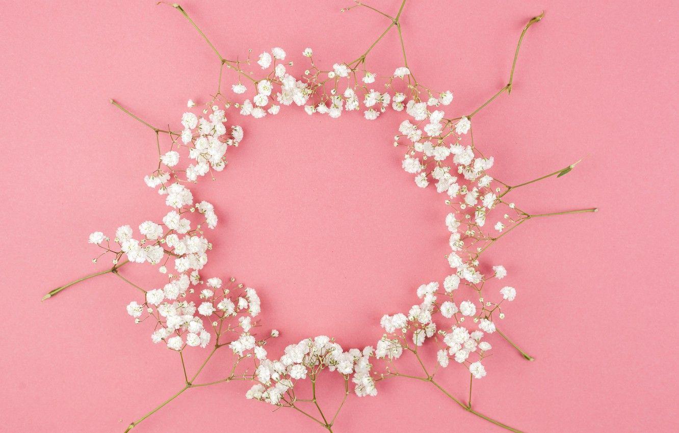 1332x850 Wallpaper flowers, white, white, pink background, pink, flowers, background, tender, frame, floral image for desktop, section цветы