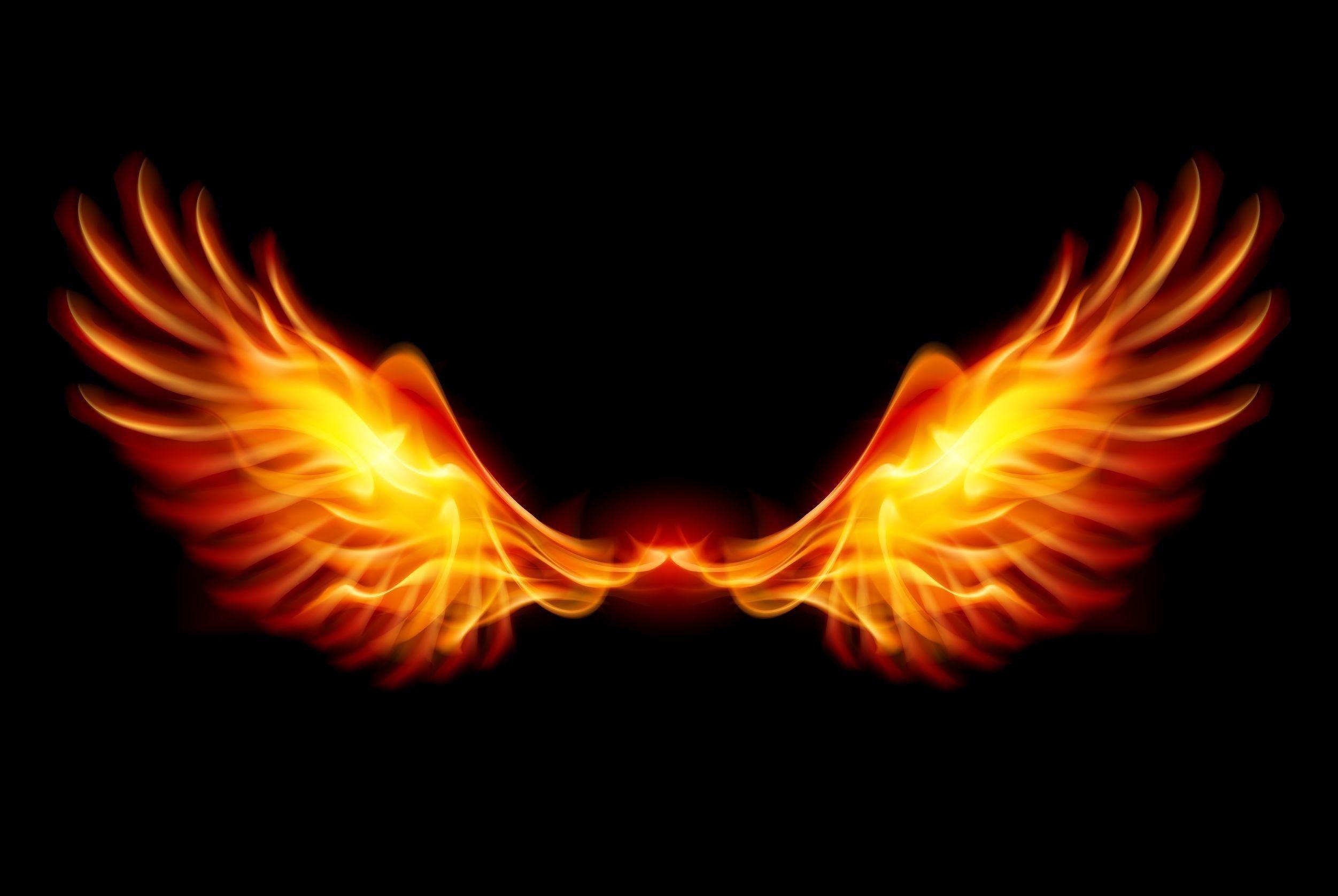 Phoenix Laptop Wallpapers - Top Free Phoenix Laptop Backgrounds ...