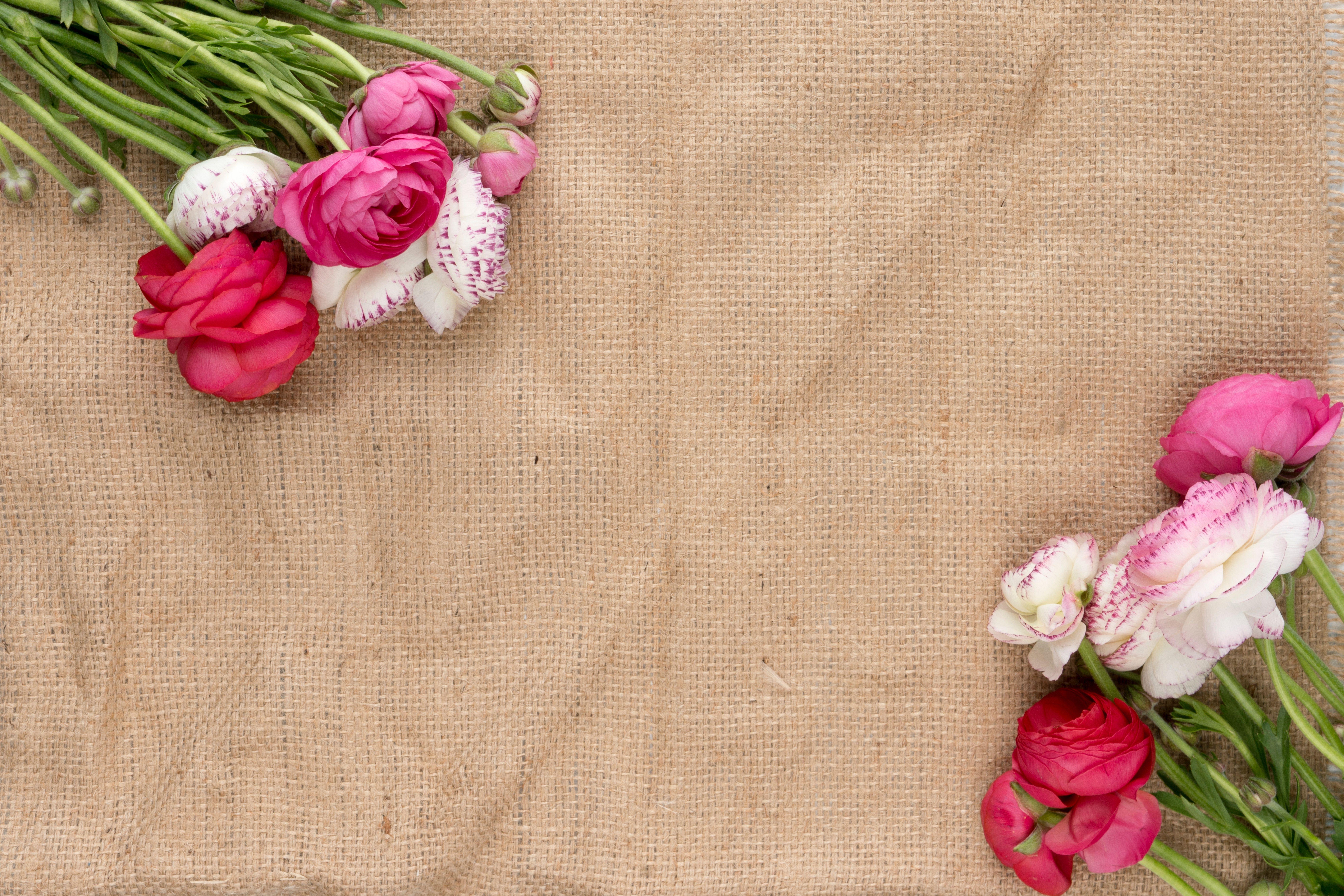 7952x5301 earthy wallpaper and background