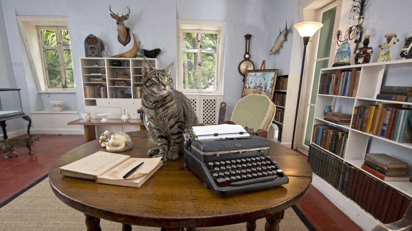 1440x810 Irish author wins Florida Keys Flash Fiction Contest and stay