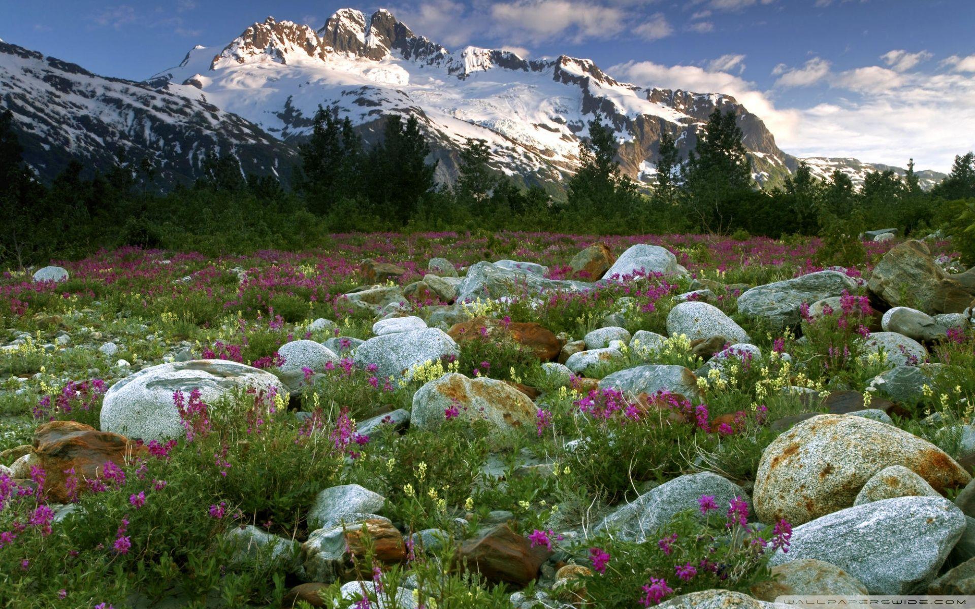 1920x1200 Rock Garden Alsek River British Columbia Ultra HD Desktop Background Wallpaper for : Widescreen & UltraWide Desktop & Laptop : Tablet