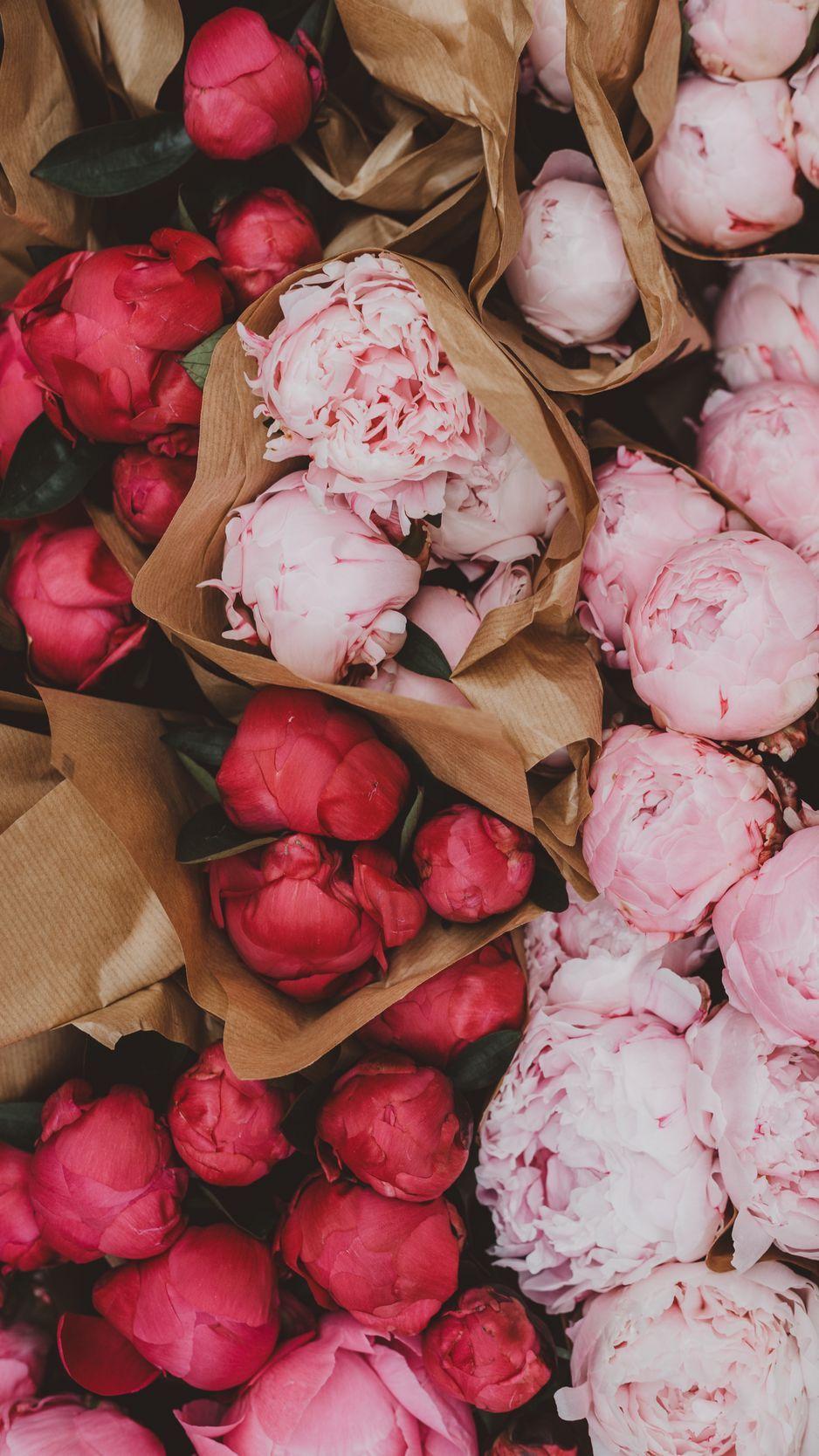 938x1668 Download wallpaper 938x1668 peonies, flowers, bouquets, pink, red