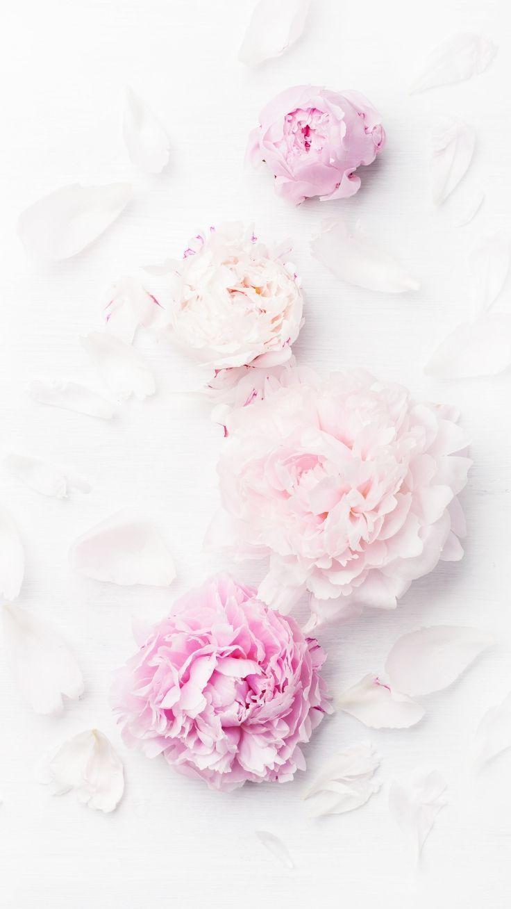736x1308 iPhone wallpaper : 12 Gorgeous Floral iPhone Xs Wallpaper