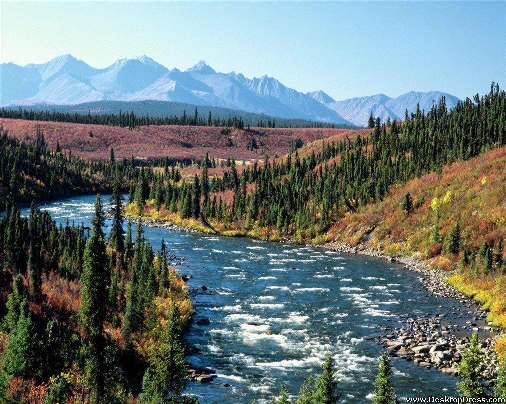 Với hình nền máy tính Yukon, bạn sẽ bị thu hút bởi cảnh vật hùng vỹ, hoang sơ của vùng đất này. Hình ảnh rừng nguyên thủy, hồ nước trong xanh sẽ mang lại cho bạn cảm giác rất thoải mái và thư giãn đấy.