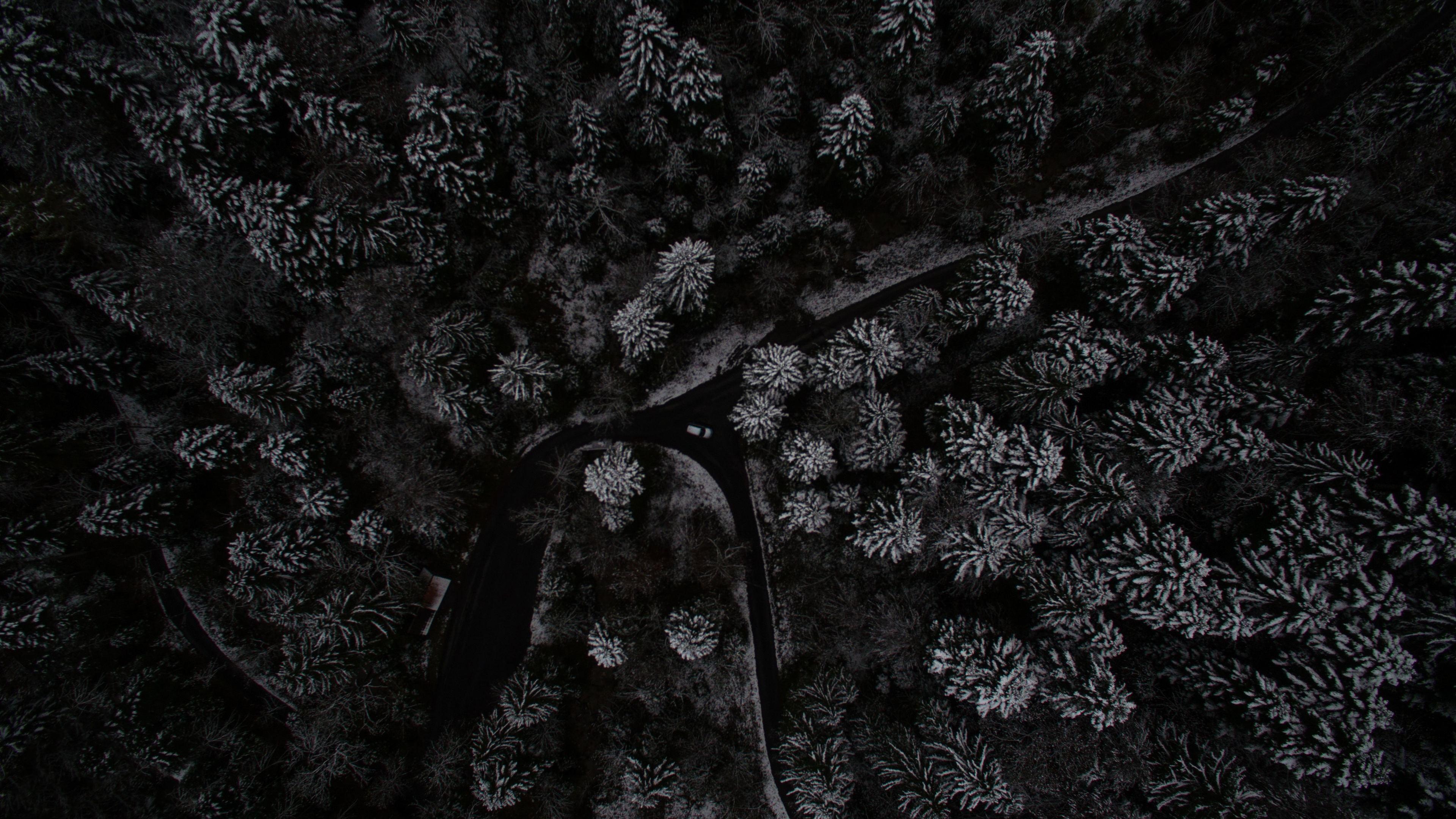 3840x2160 Wallpaper 4k Snow Trees Top View From Drone 4k 4k Wallpaper, HD