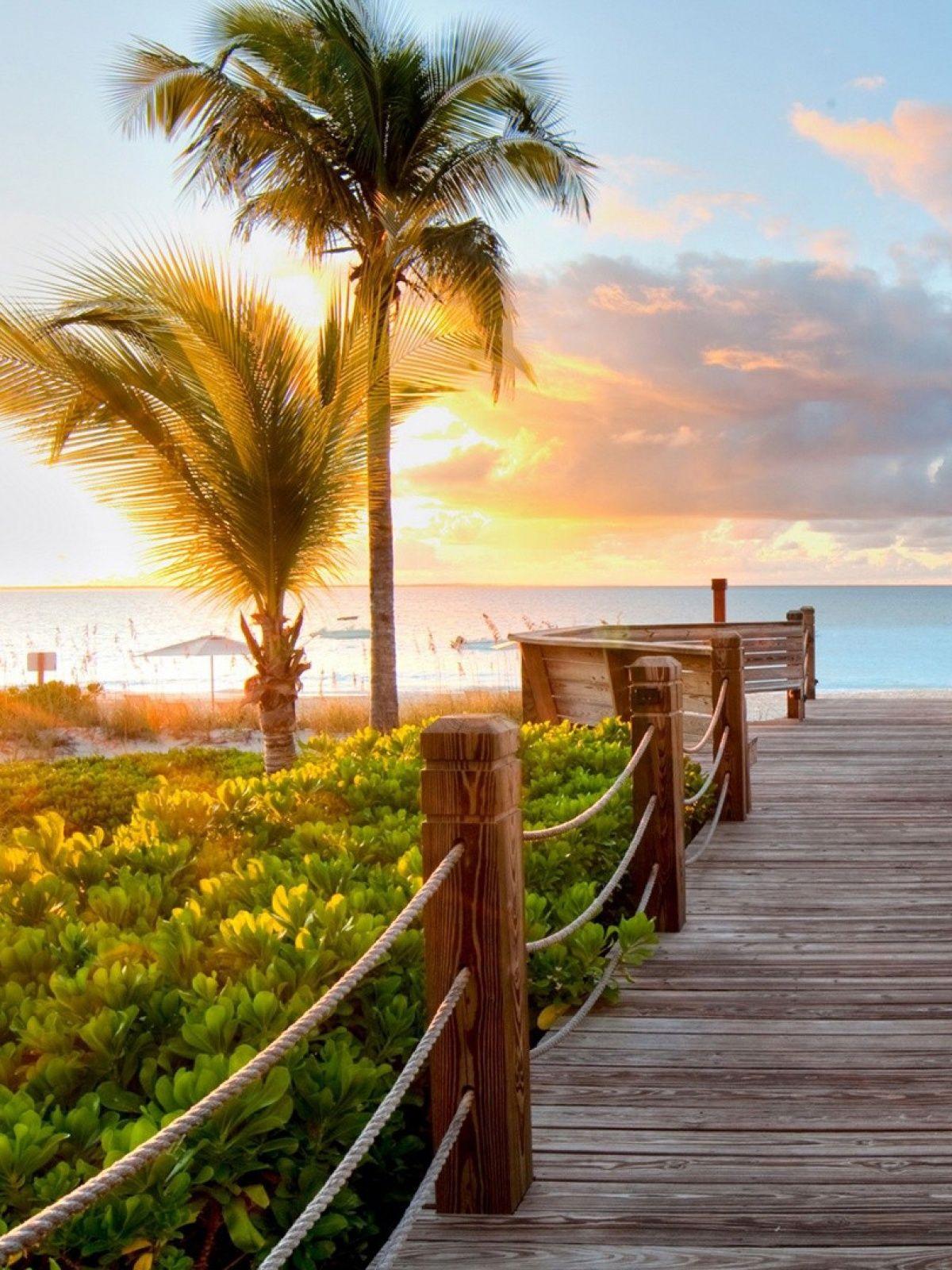 1200x1600 Sunset Wood Dock Palm Trees Android Wallpaper free download