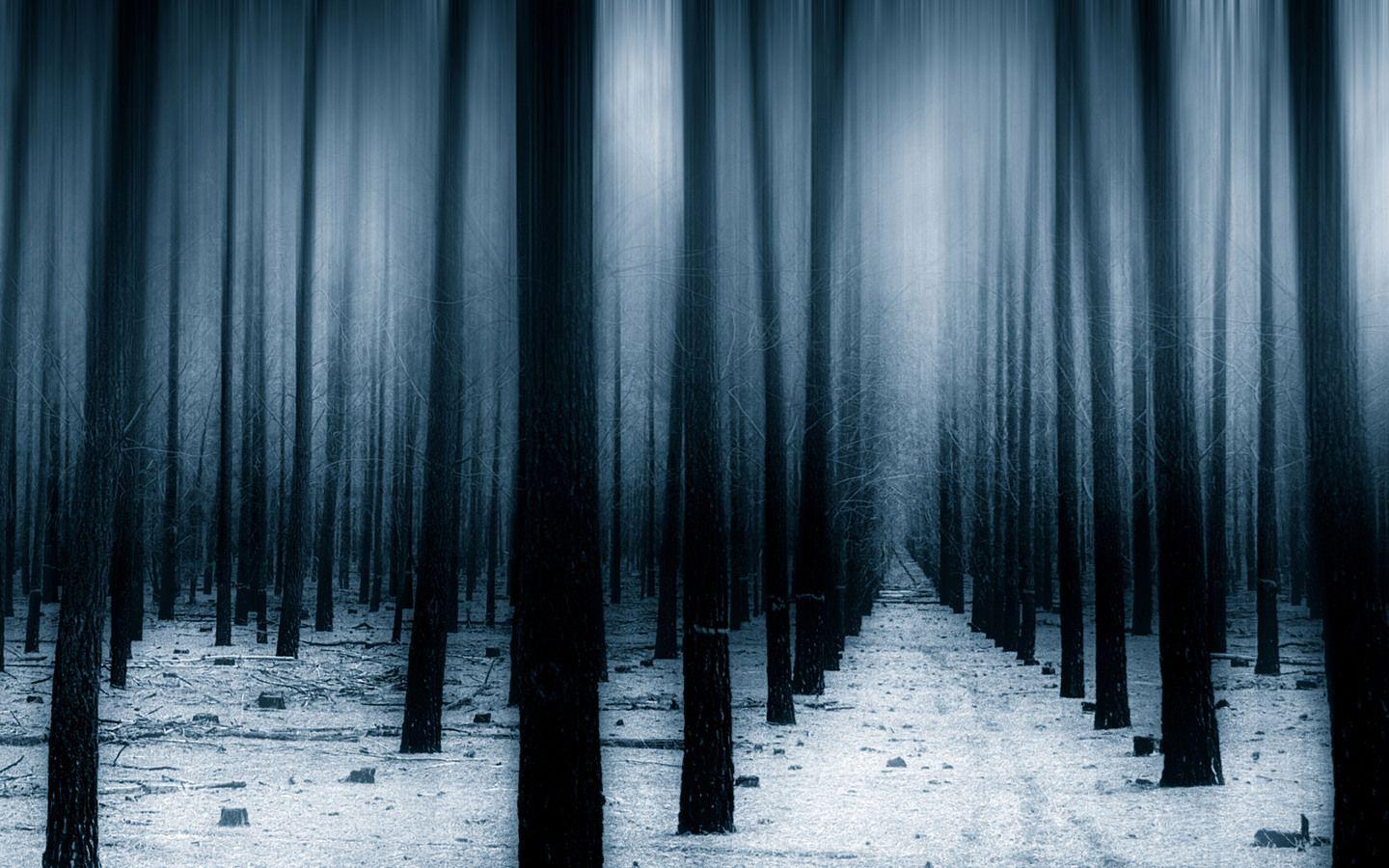 1440x900 Dark Forest Woods Snow Winter 8k 1440x900 Resolution HD