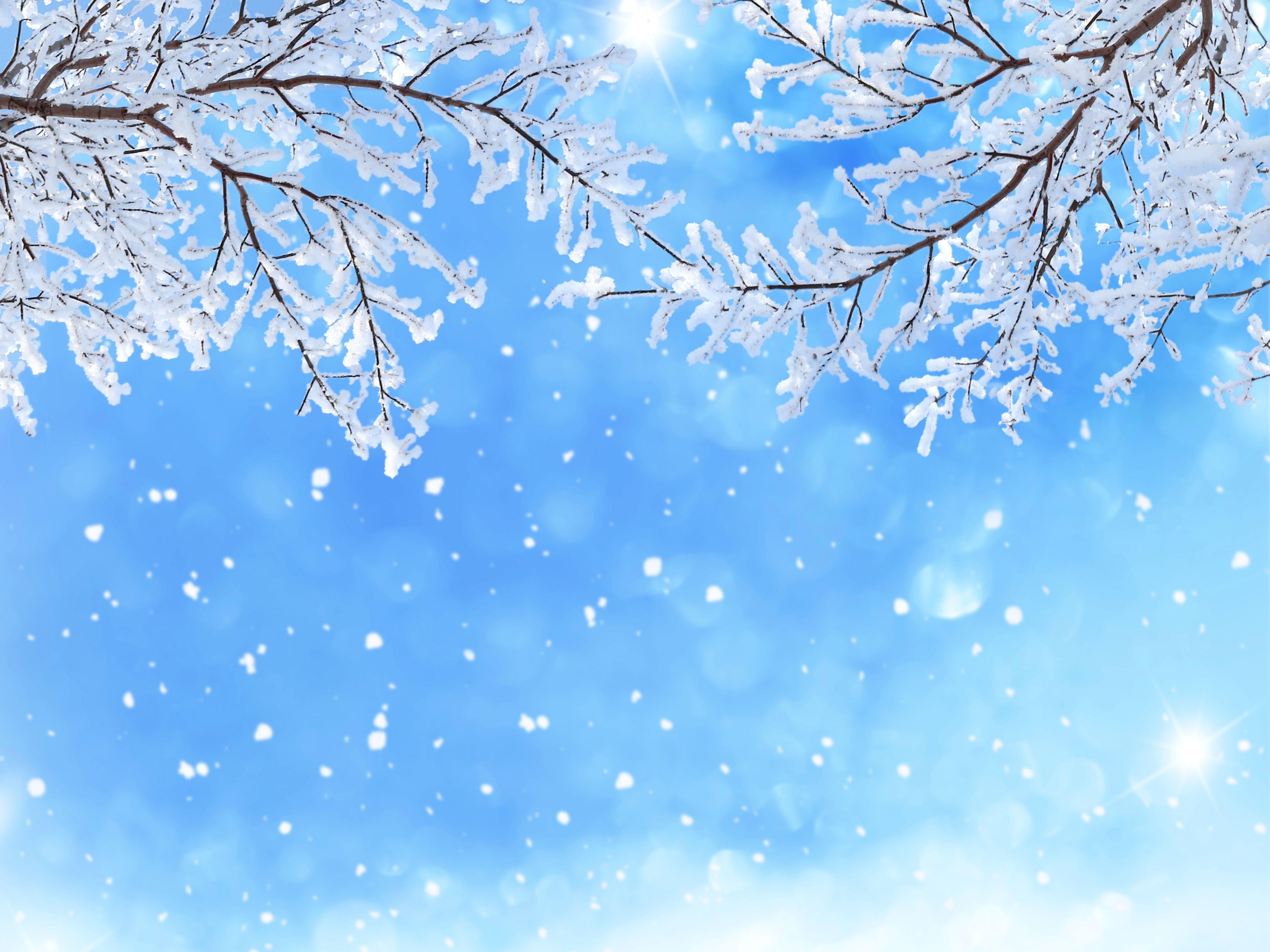 5200x3900 Snow Wallpaper